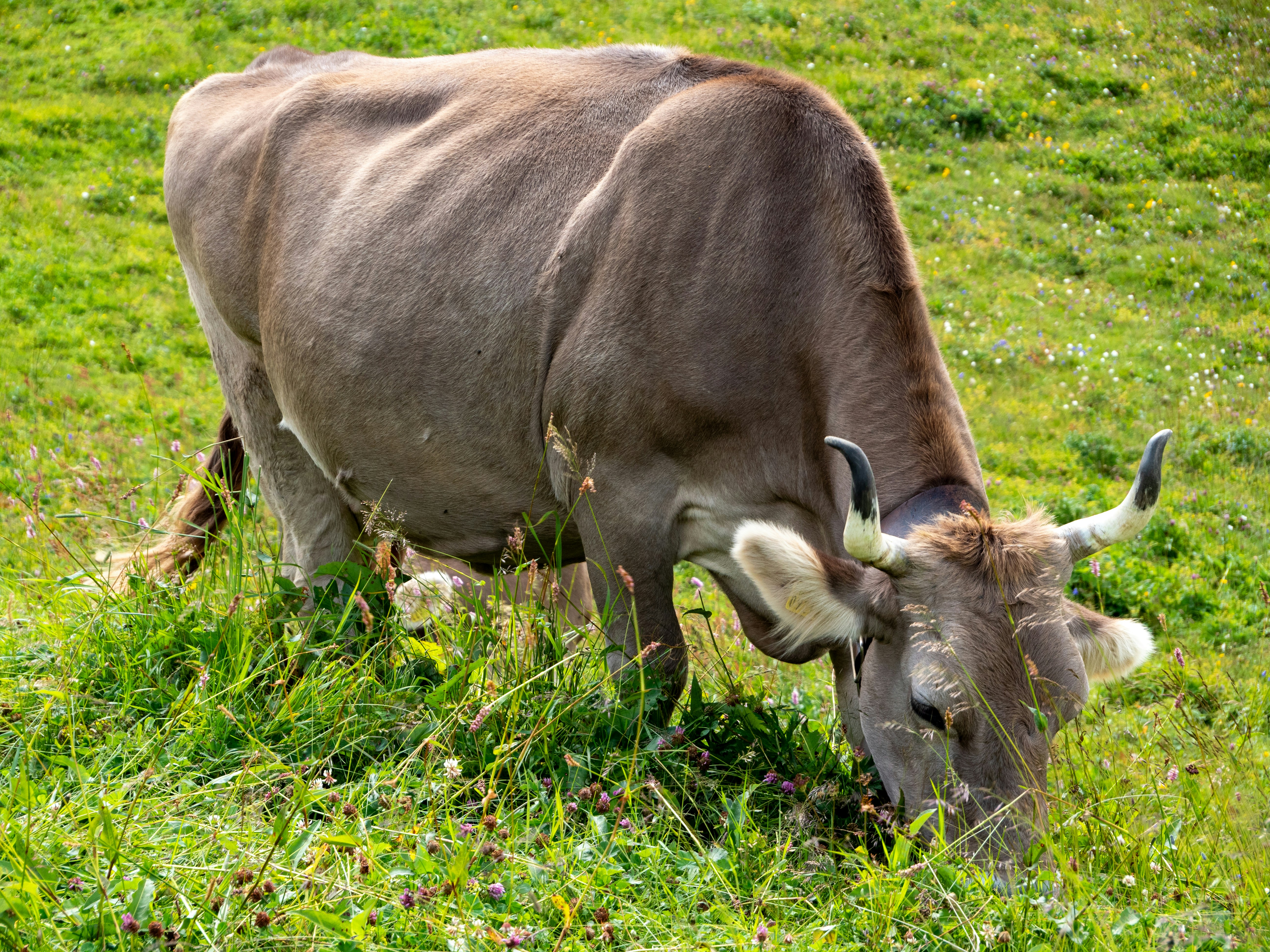 Photo by bengrayland