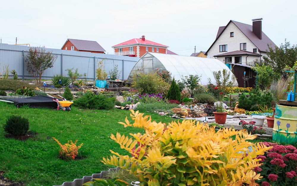 a garden filled with lots of different types of flowers