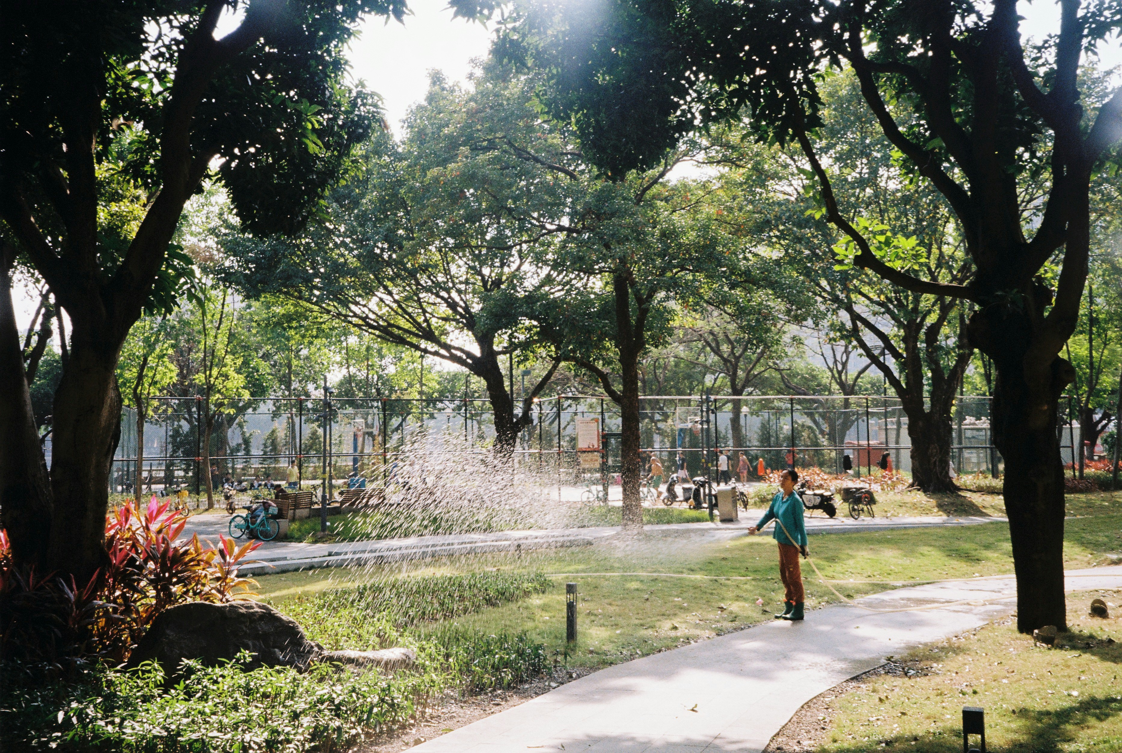 Freedom Park