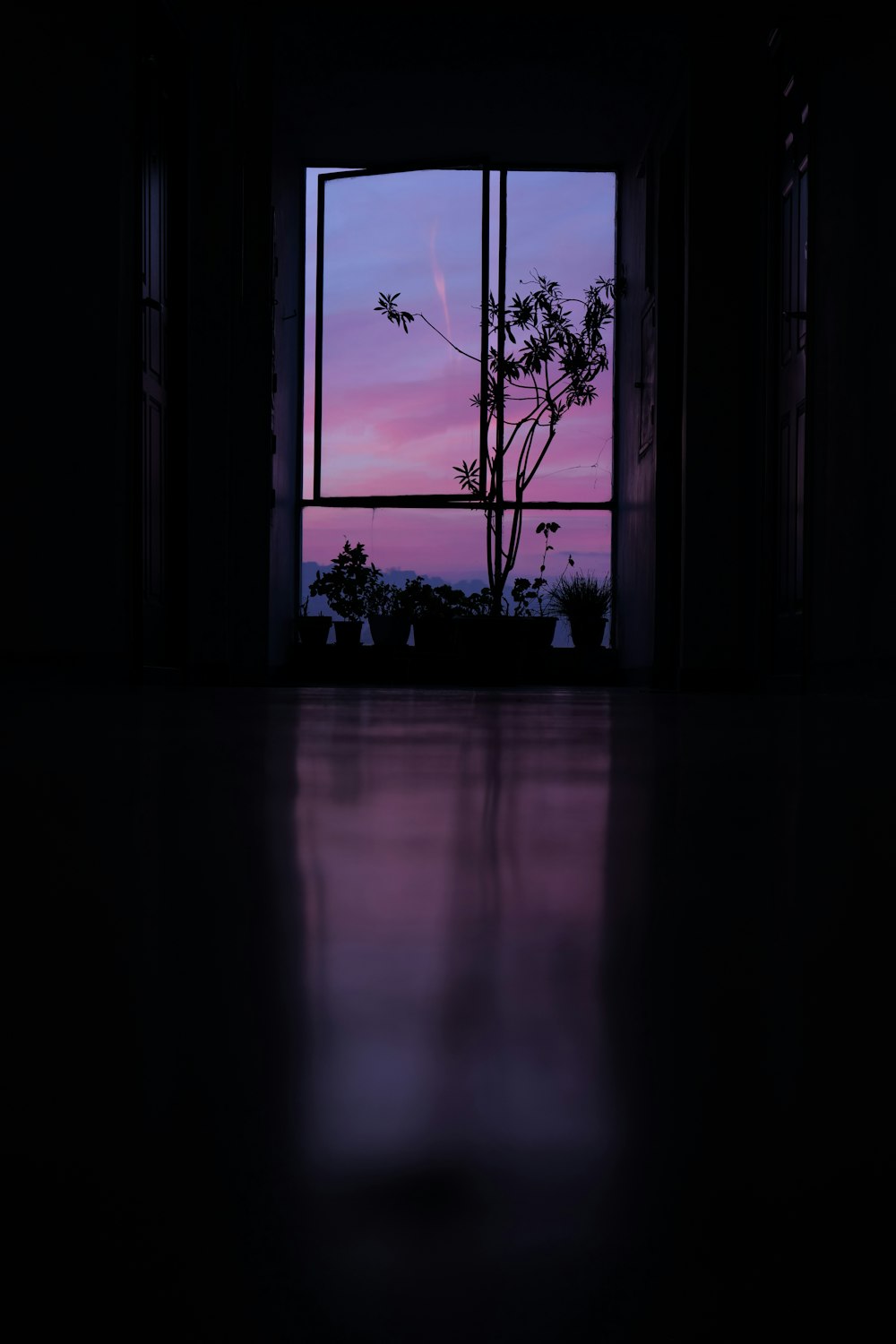 a window with a view of a tree outside