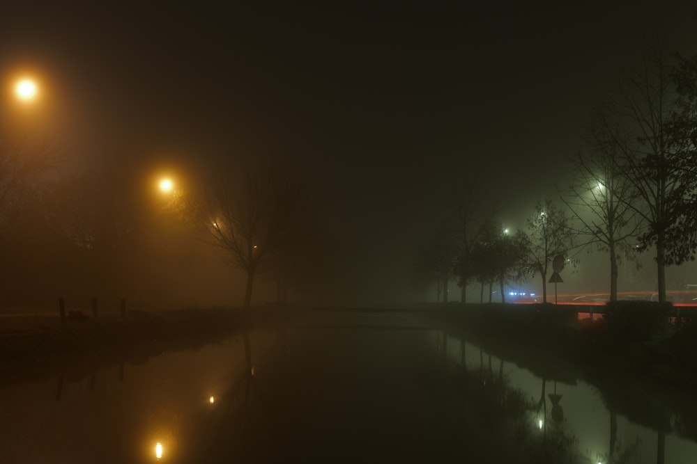 a foggy night with street lights reflecting in the water
