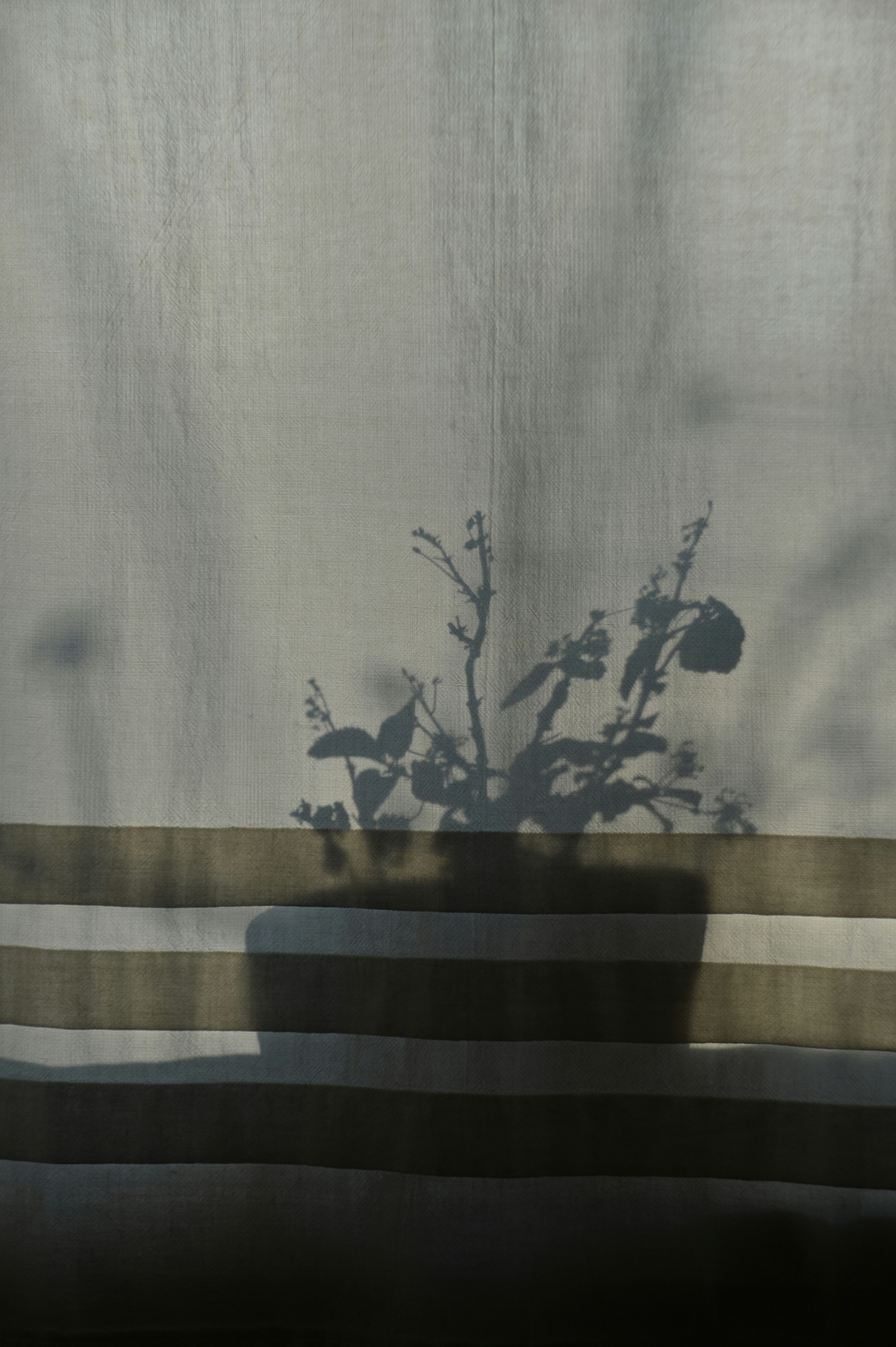 Photo by baliko_andras