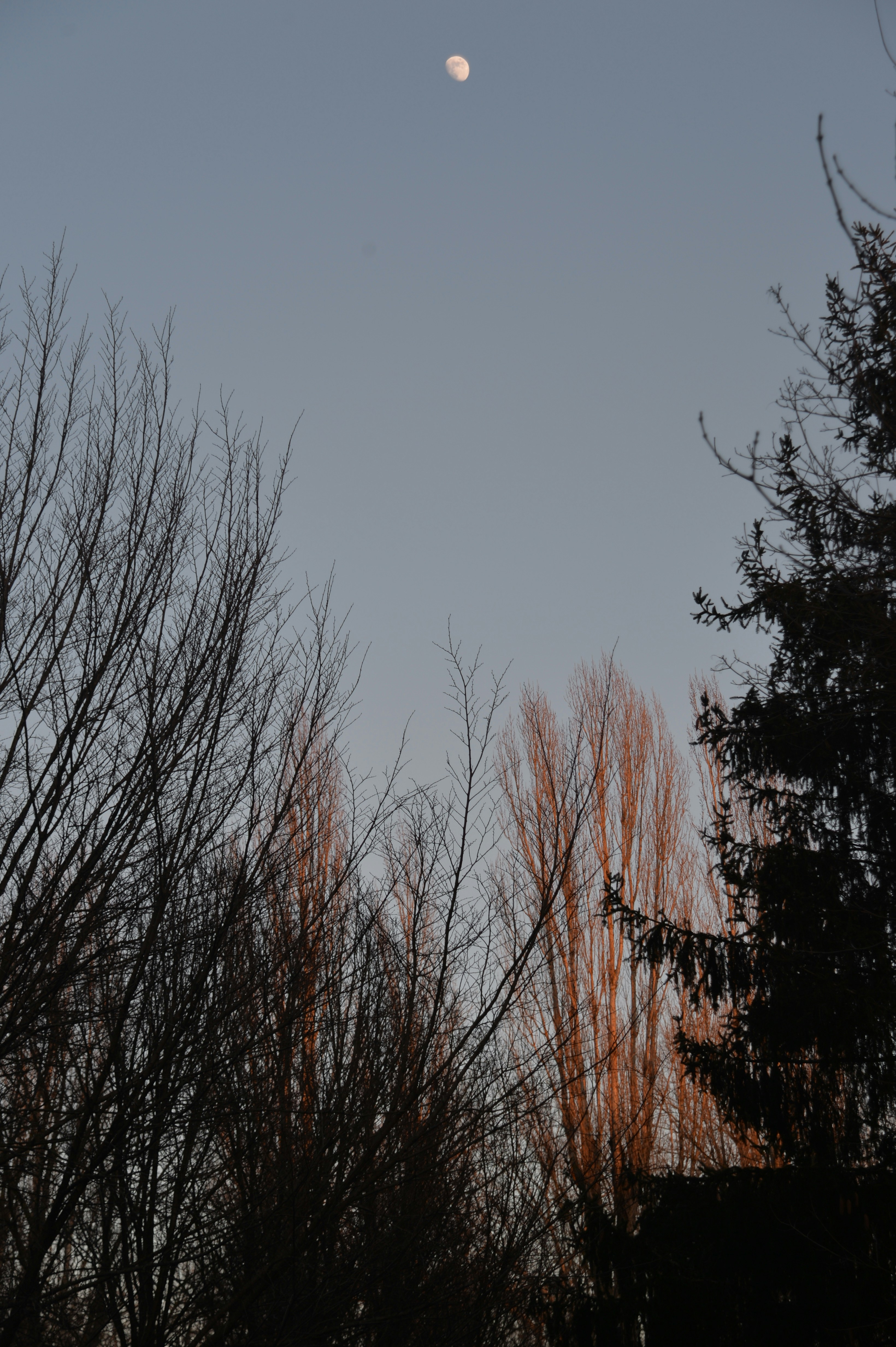 Photo by baliko_andras