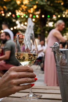 a person holding a glass of white wine