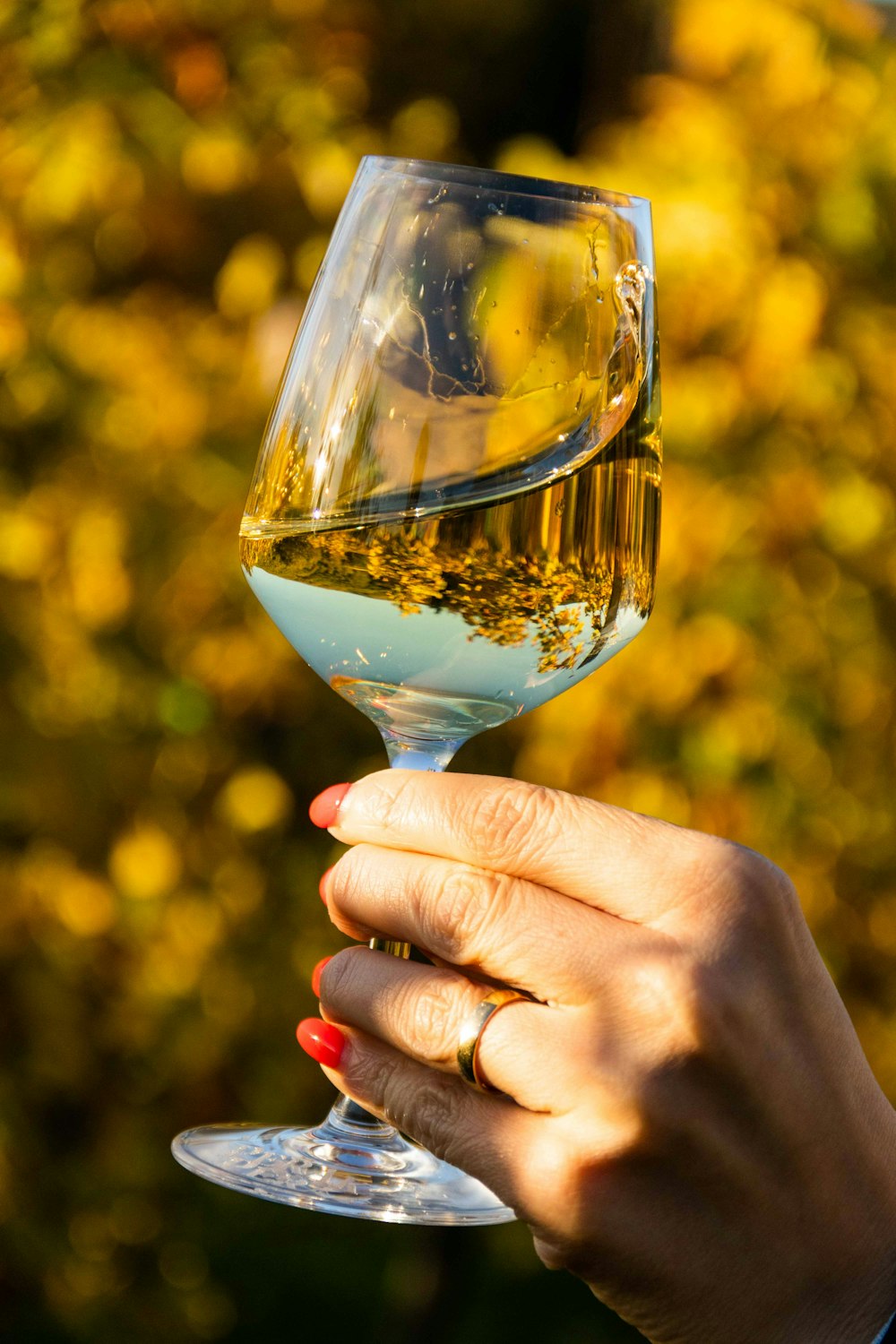 a person holding a wine glass in their hand