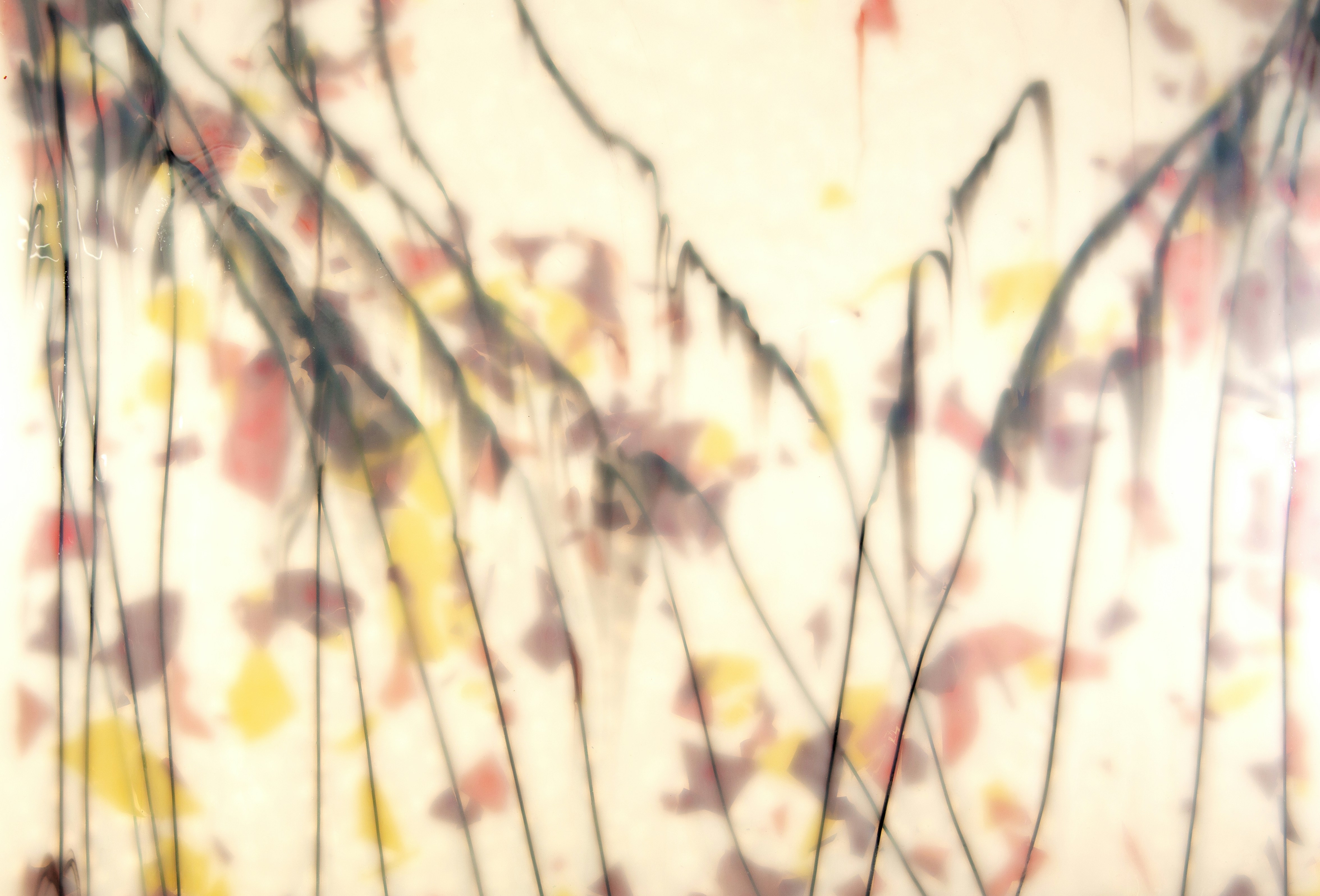 Photo by wilhelmgunkel