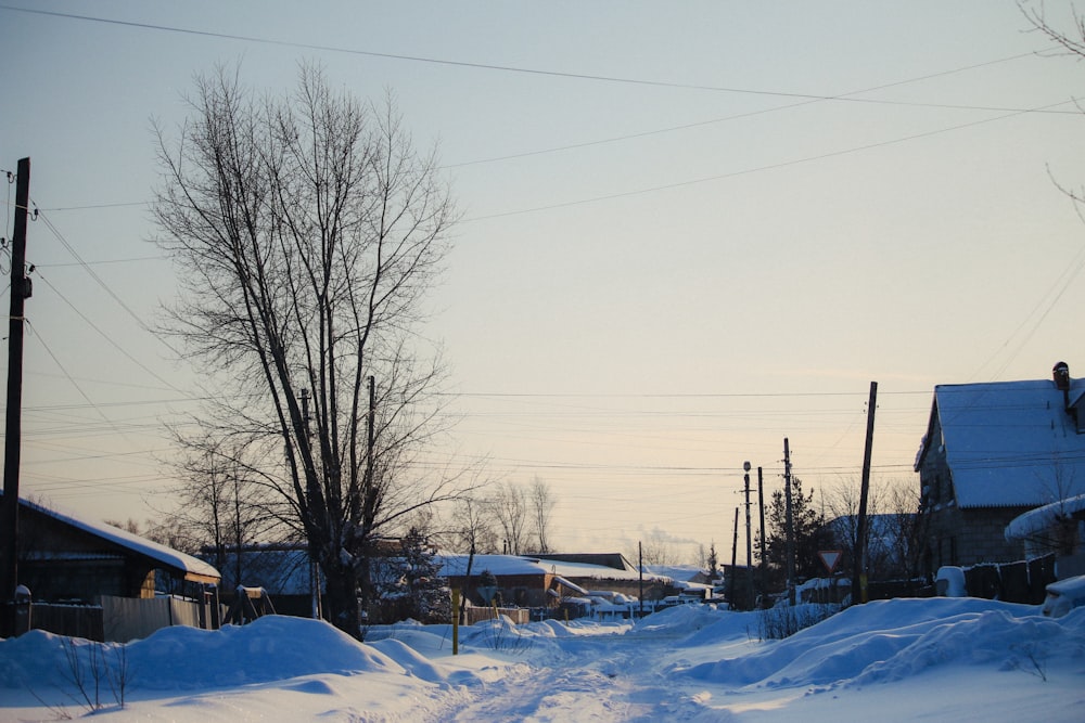 a snow covered street with houses and power lines