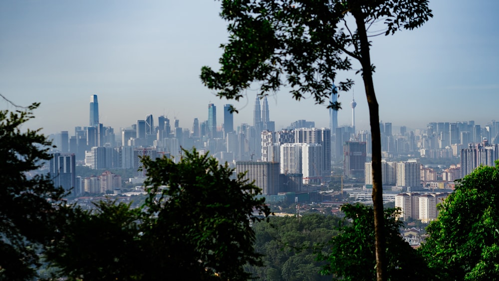 a view of a city from a distance