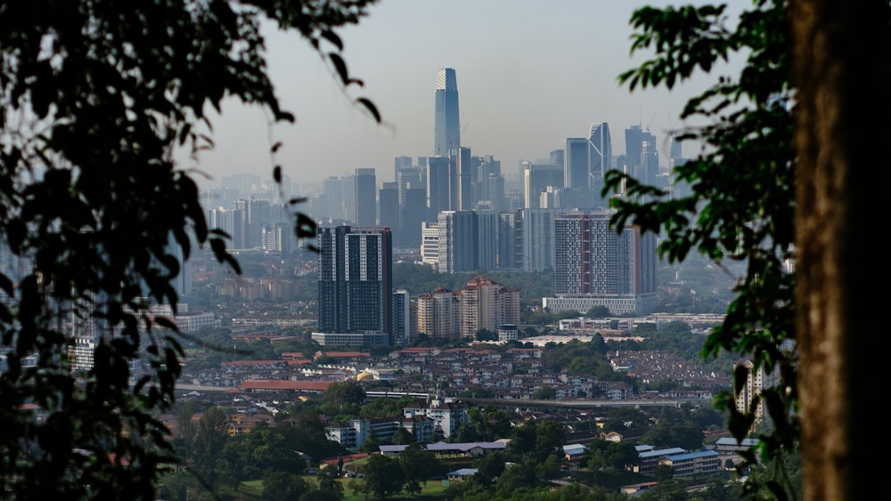 a view of a city from a distance