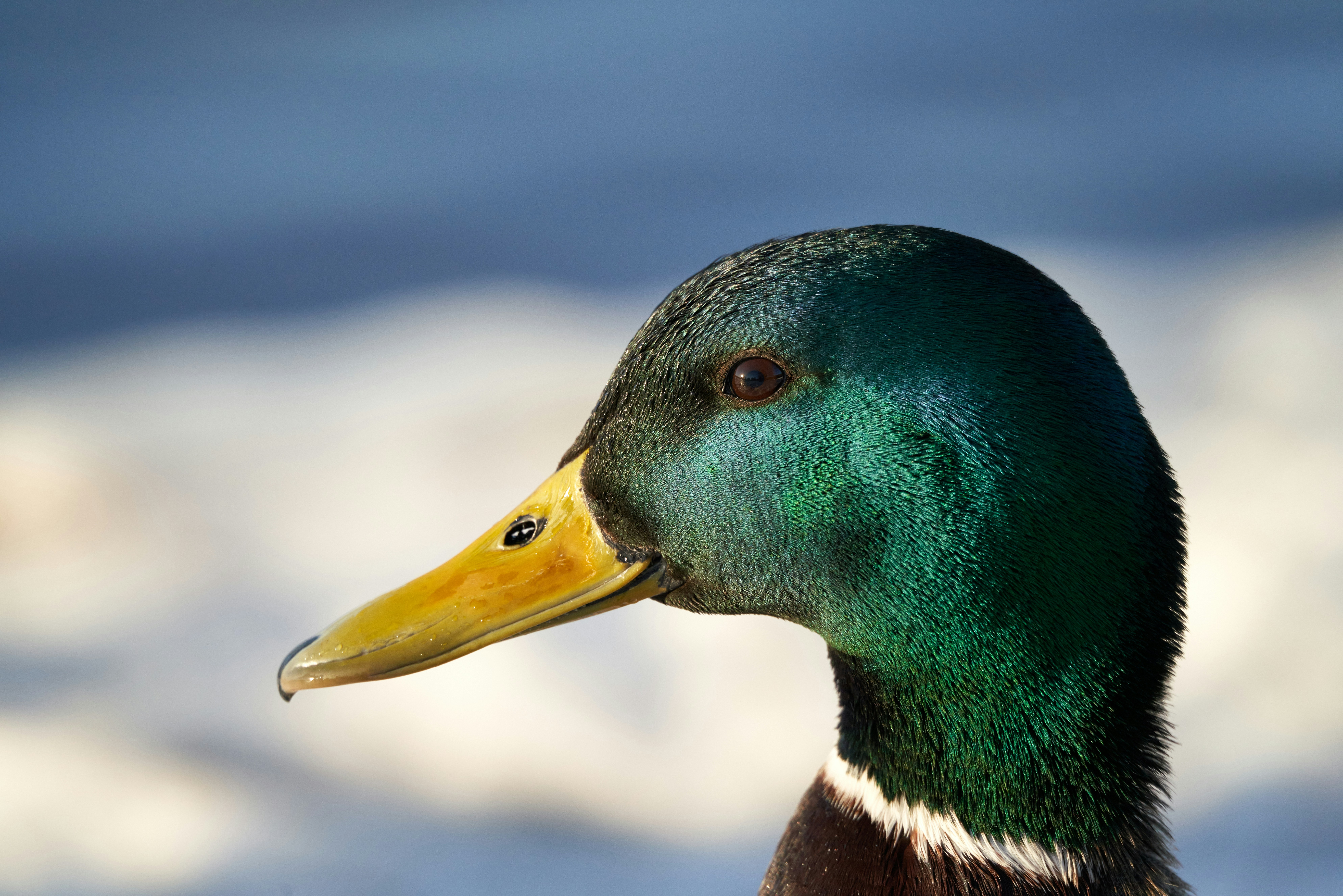 Photo by davotibarna