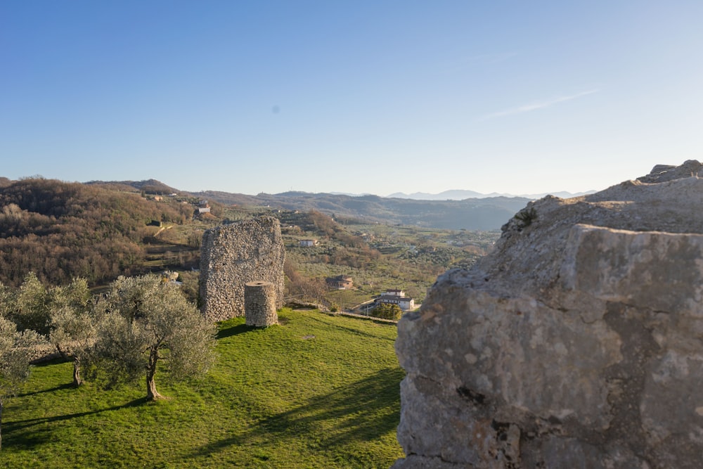 una veduta di un campo con un castello in lontananza