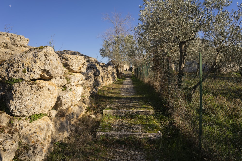 a dirt road surrounded by rocks and trees