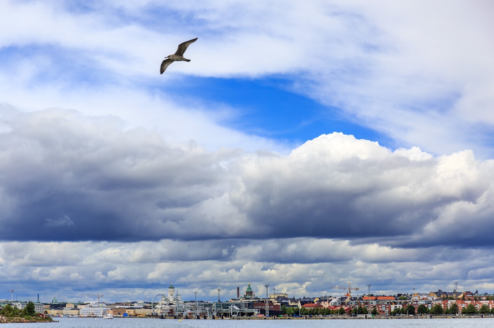 a bird flying over a body of water under a cloudy sky