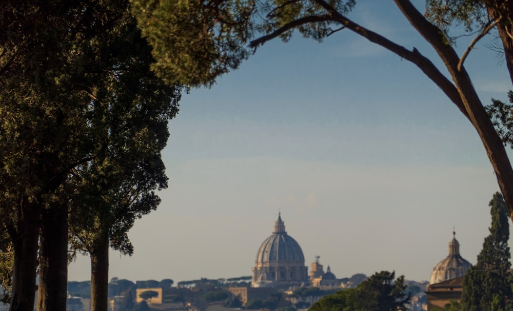 a view of the dome of a building through some trees