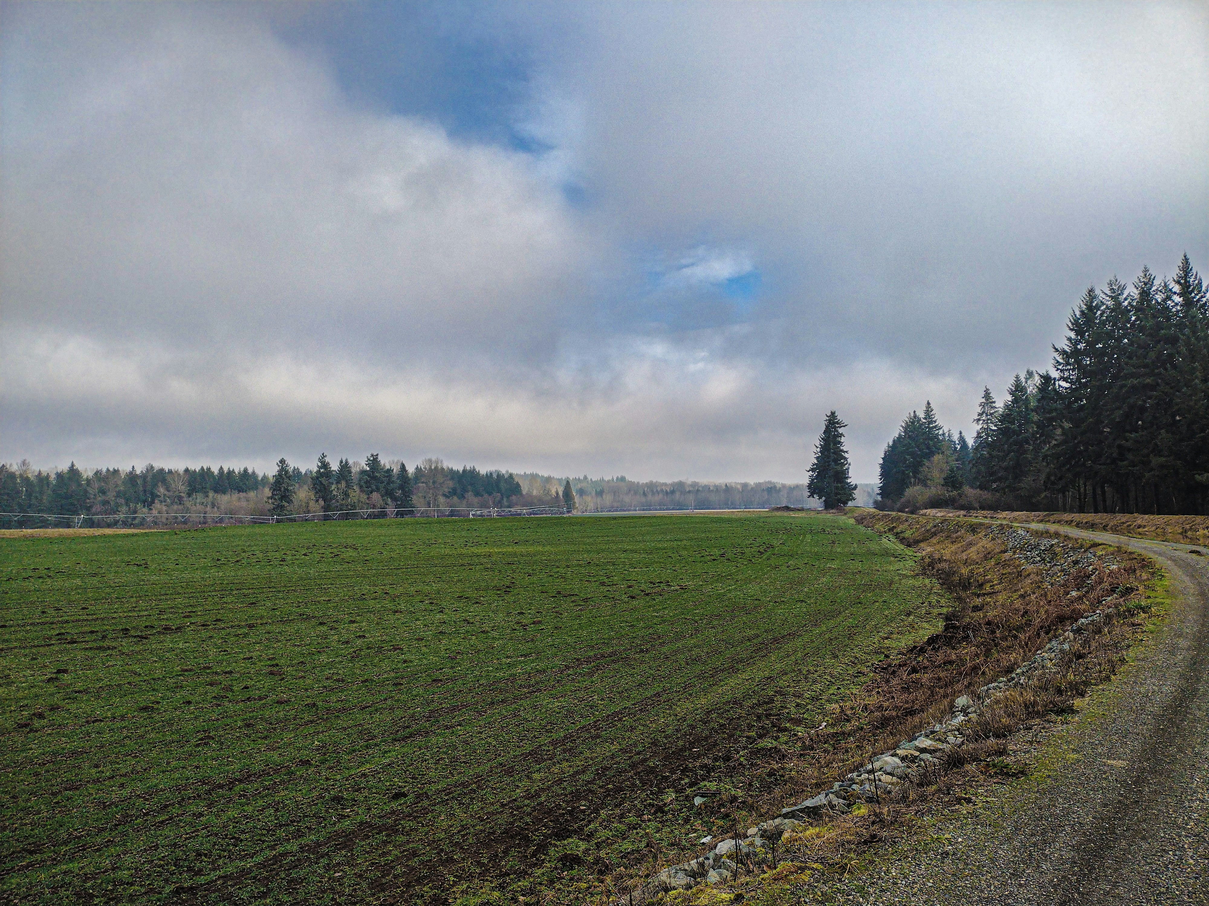 Photo by prphotography262