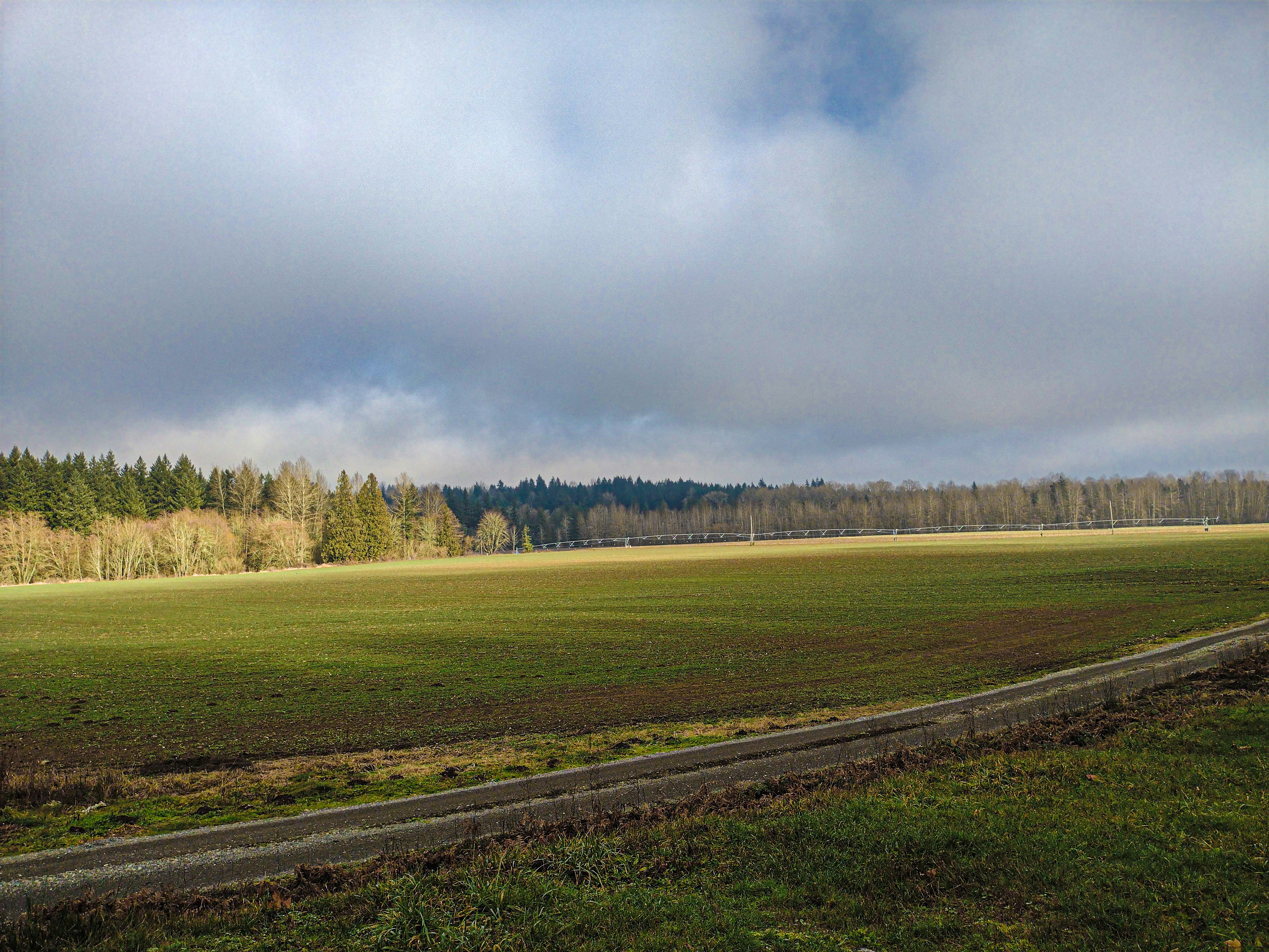 Photo by prphotography262