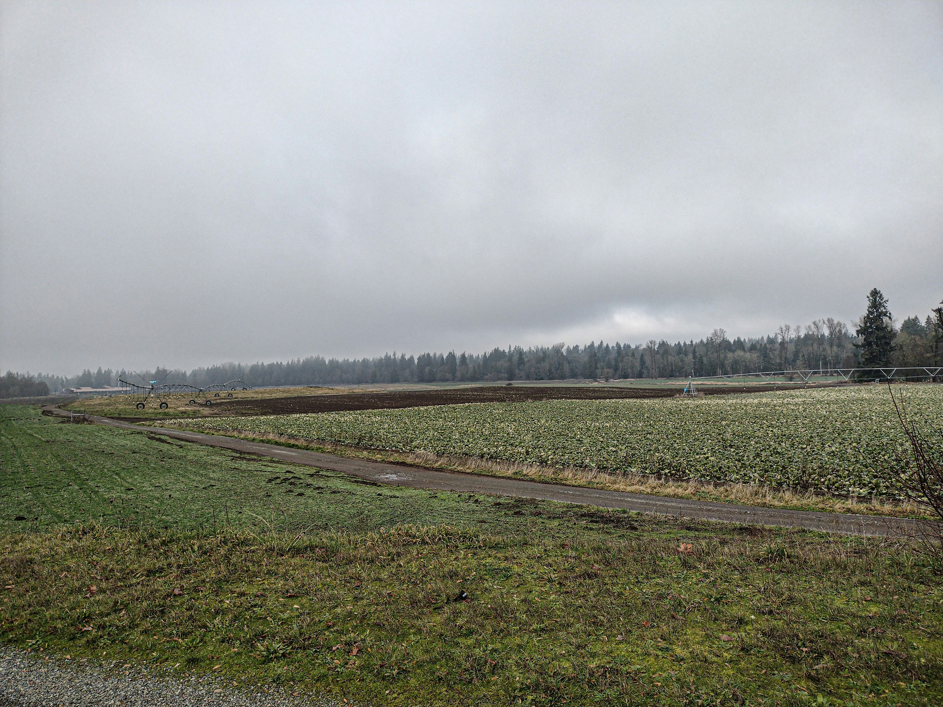 Photo by prphotography262