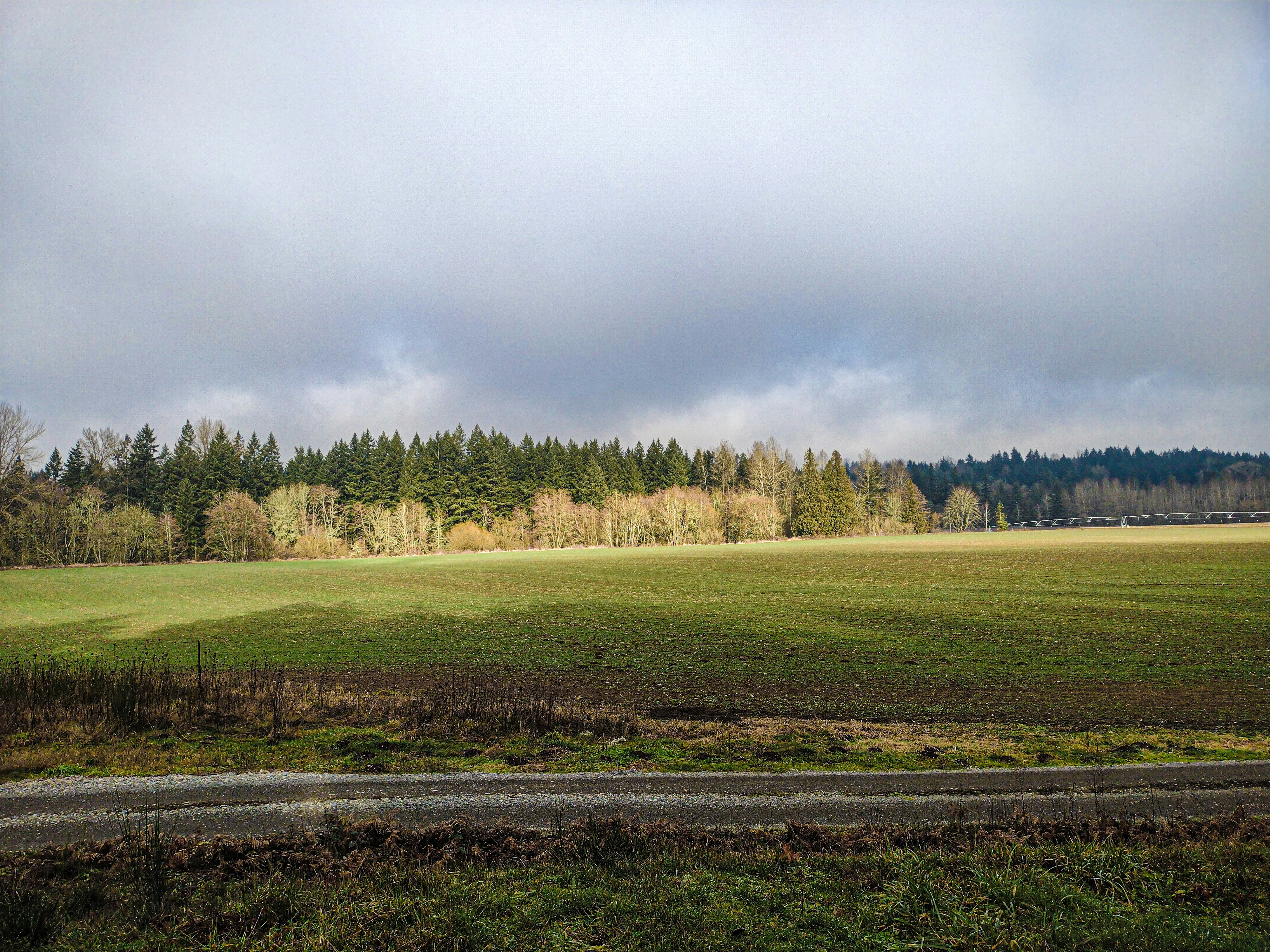 Photo by prphotography262