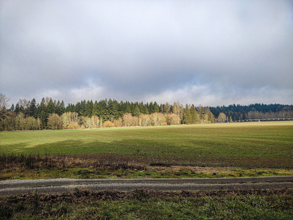 a large open field with trees in the background
