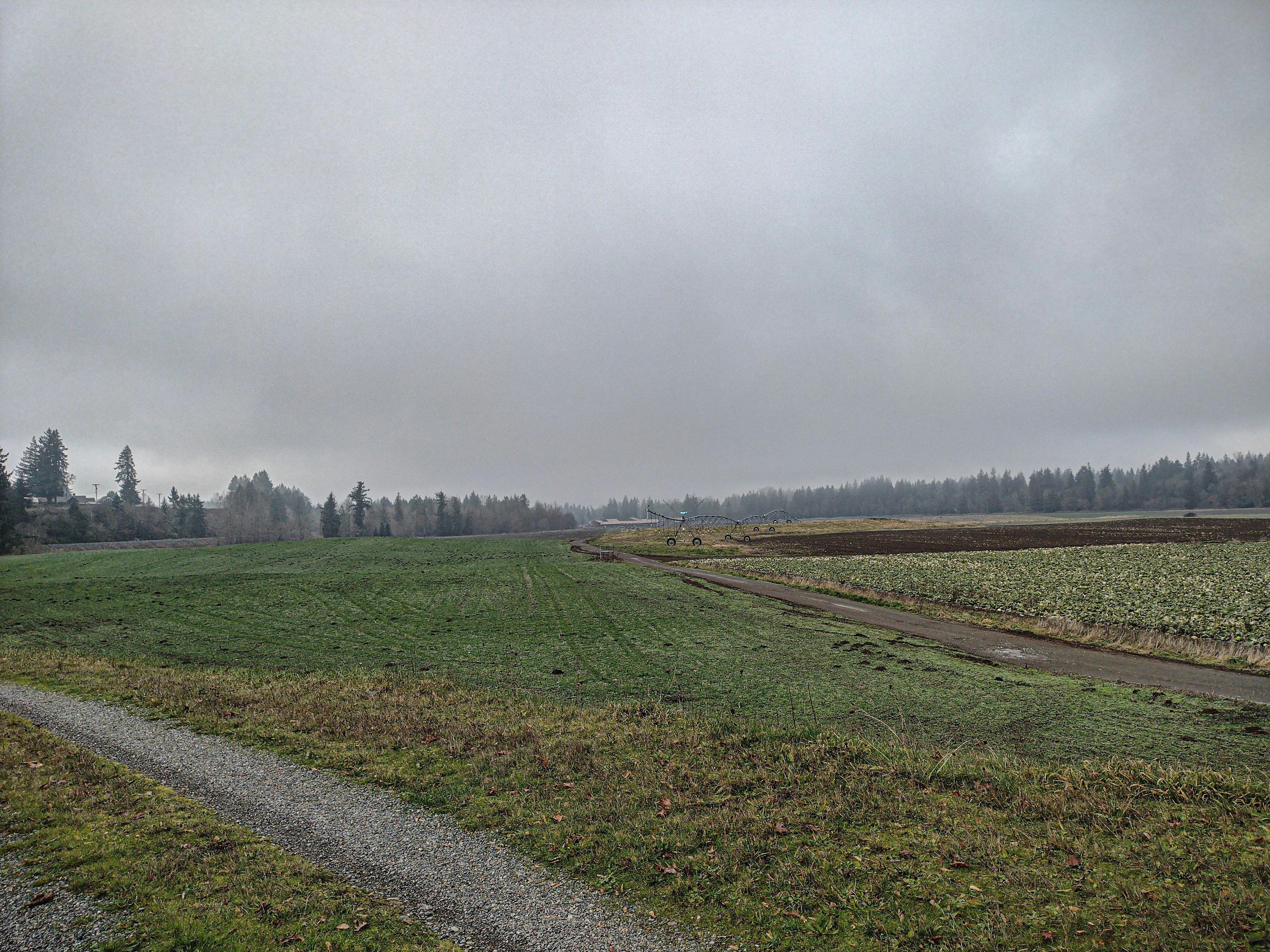 Photo by prphotography262