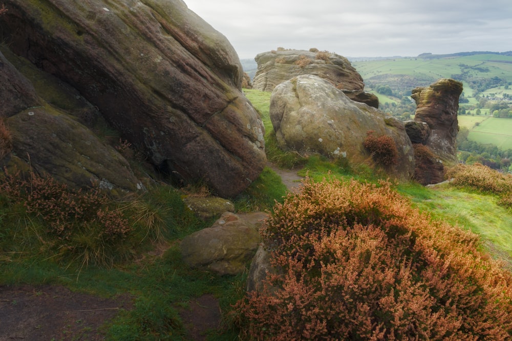 a rocky outcropping with grass and rocks