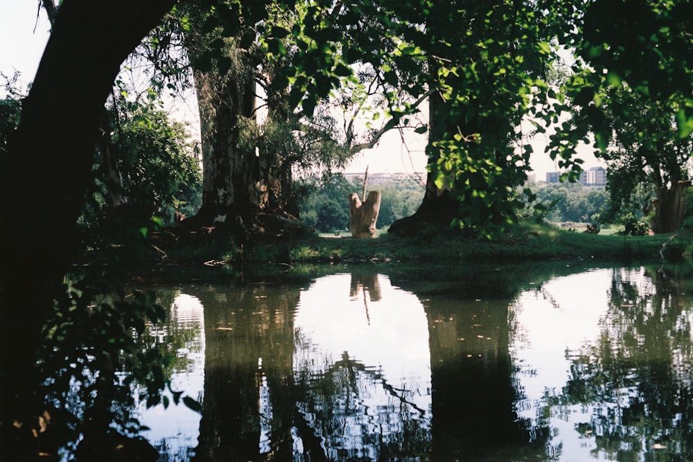 a body of water surrounded by trees and grass