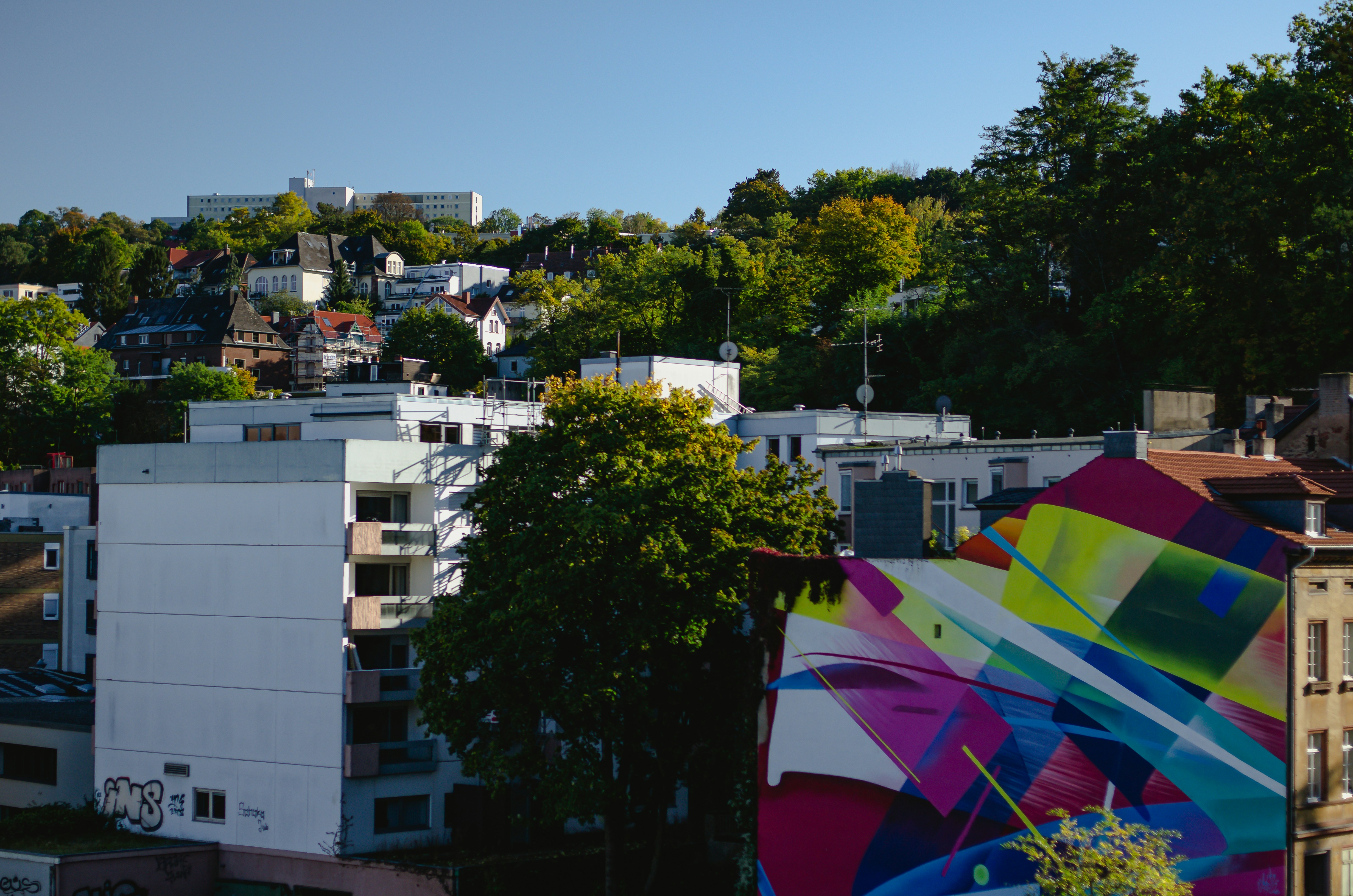 Vibrant large-scale mural on urban wall, colorful botanical and abstract forms, bright daylight, saturated warm tones