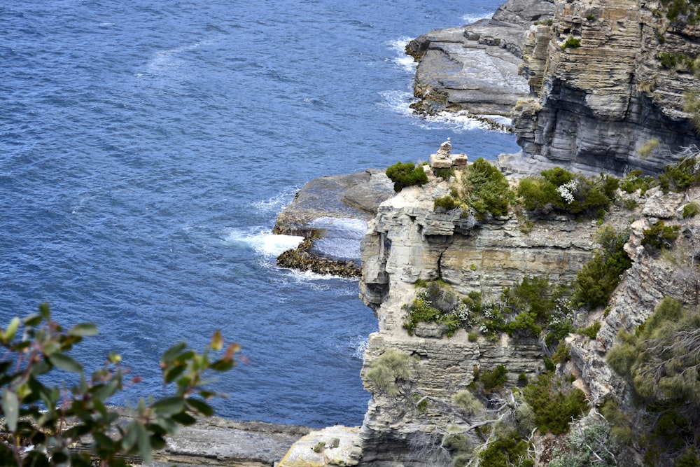 a person standing on a cliff overlooking the ocean