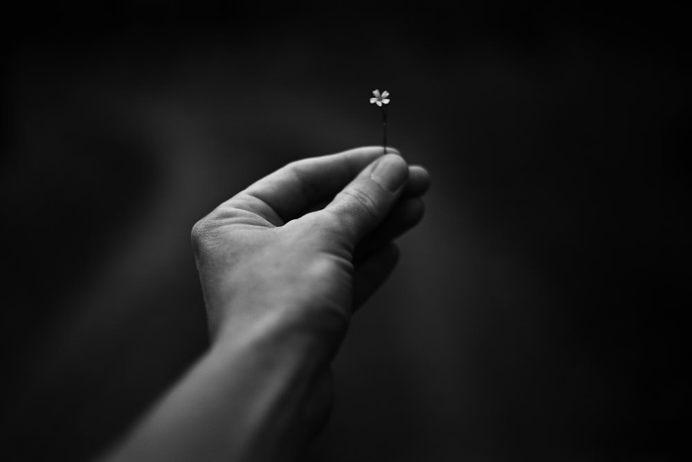 a black and white photo of a hand holding a small flower