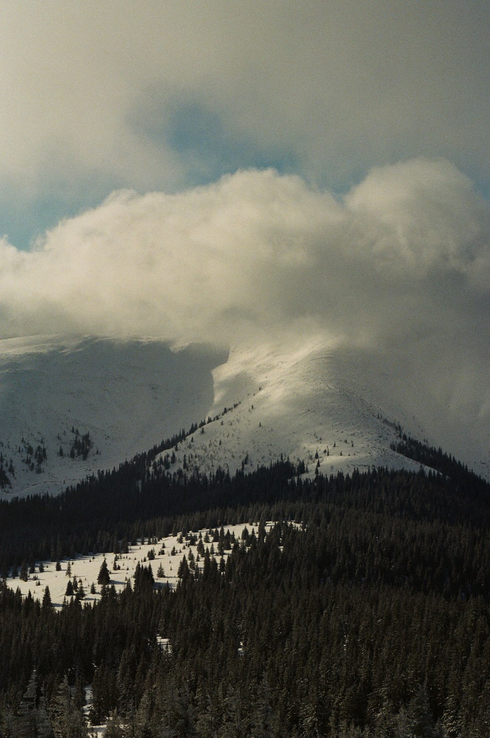 une montagne couverte de neige et d’arbres sous un ciel nuageux