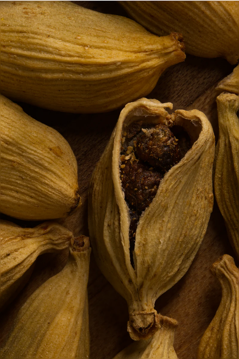 UC Davis PhD cardamom research