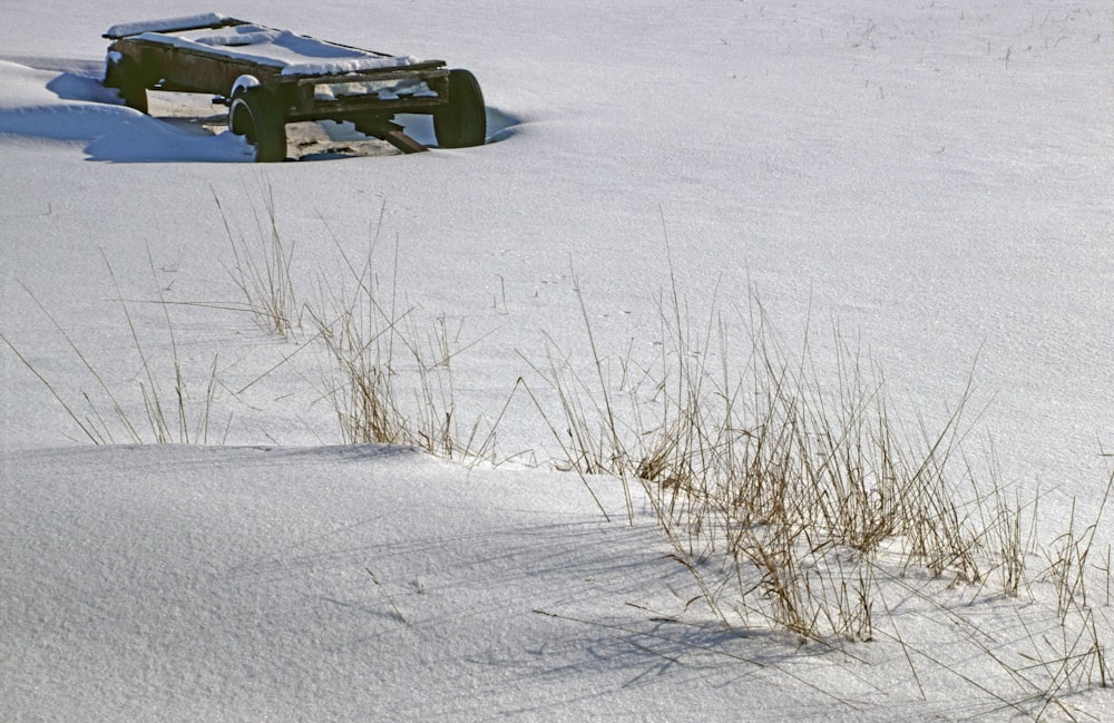 Un camión está estacionado en un campo nevado