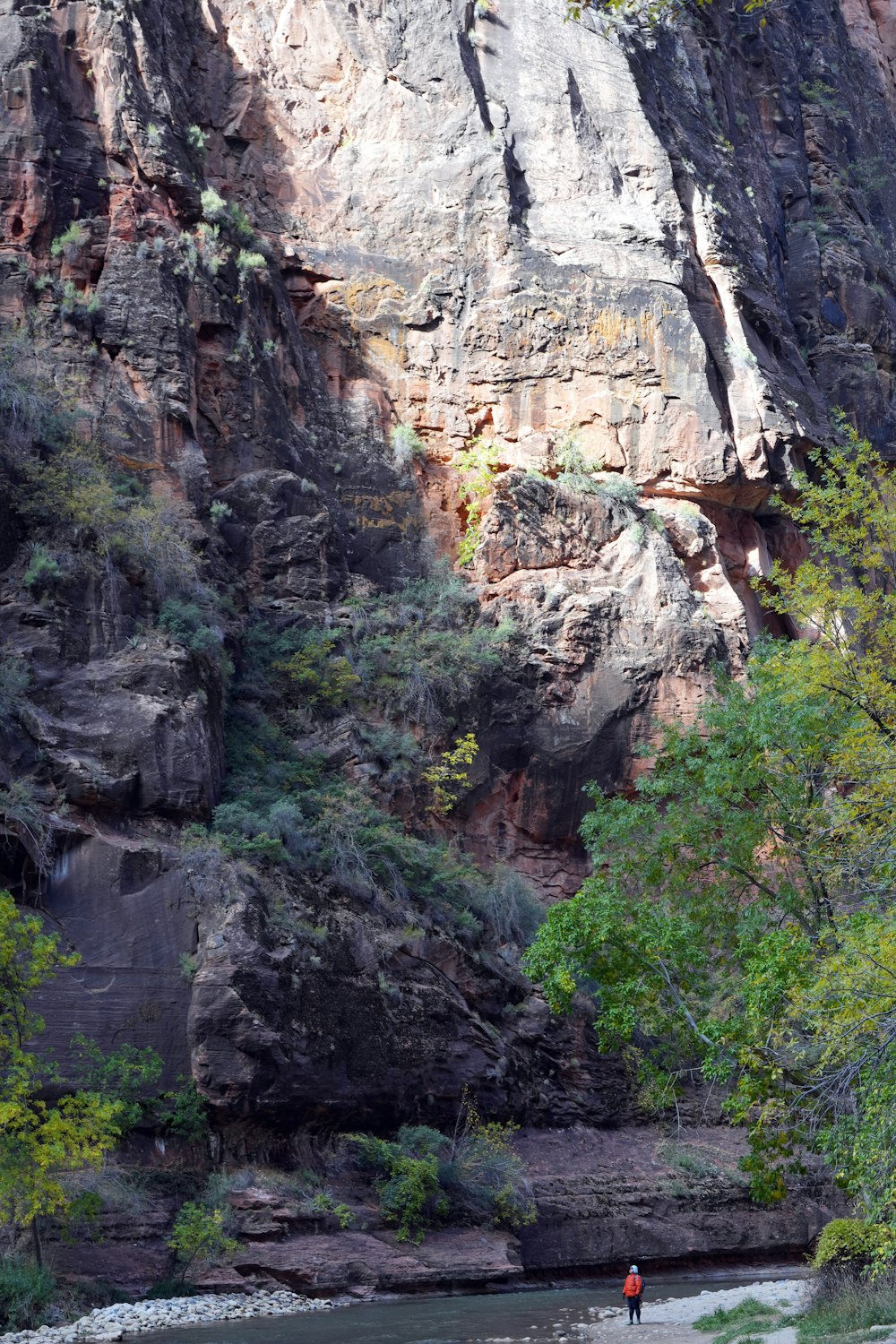 a person standing in a river next to a mountain