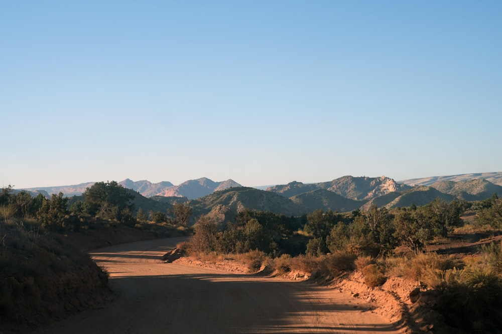 a dirt road surrounded by trees and mountains