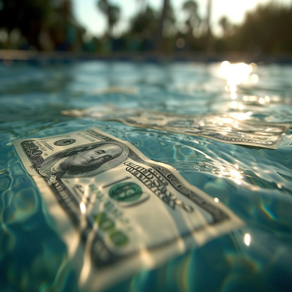 un billete de un dólar flotando en un charco de agua