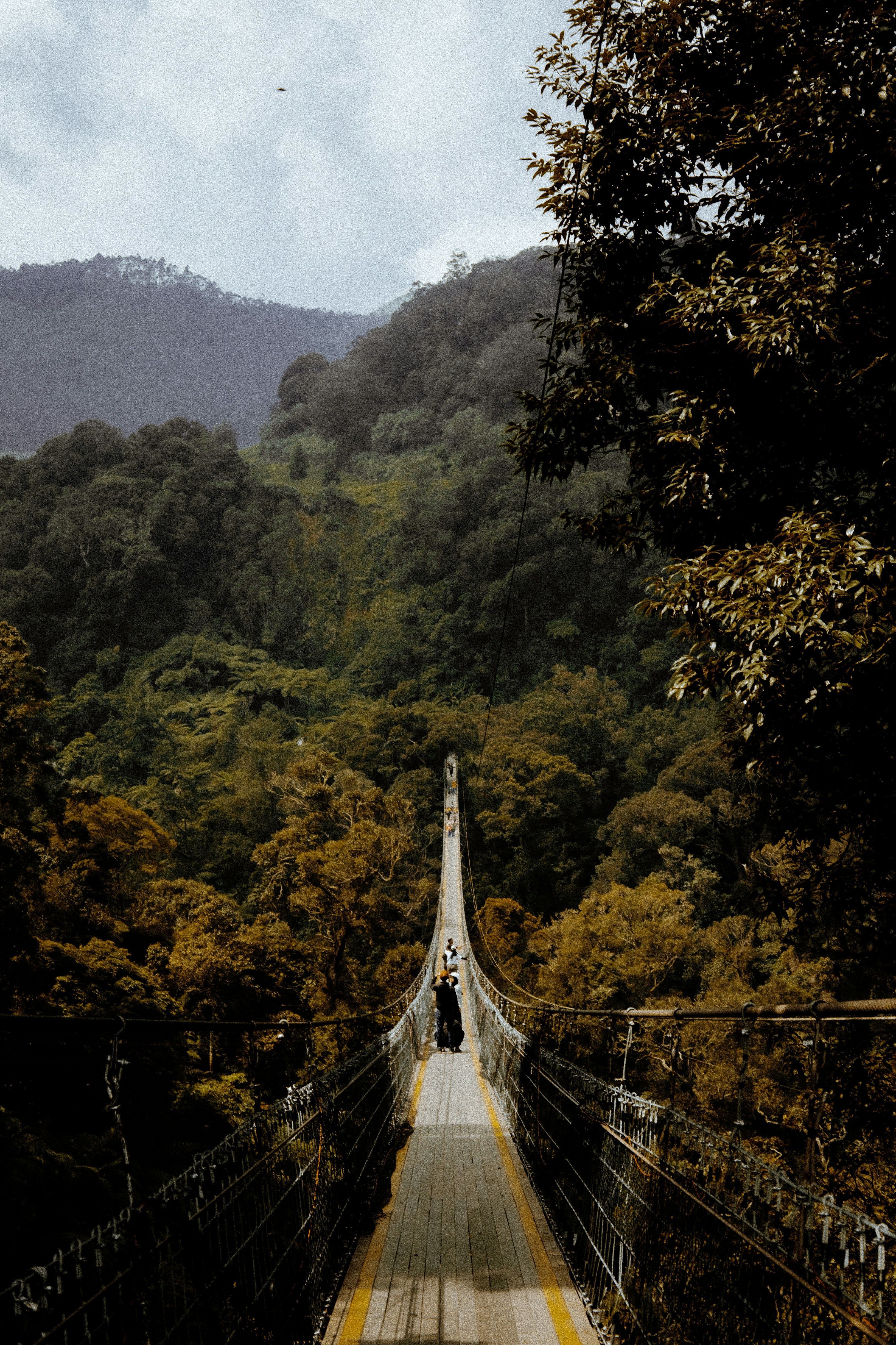 Photo by bhavibay