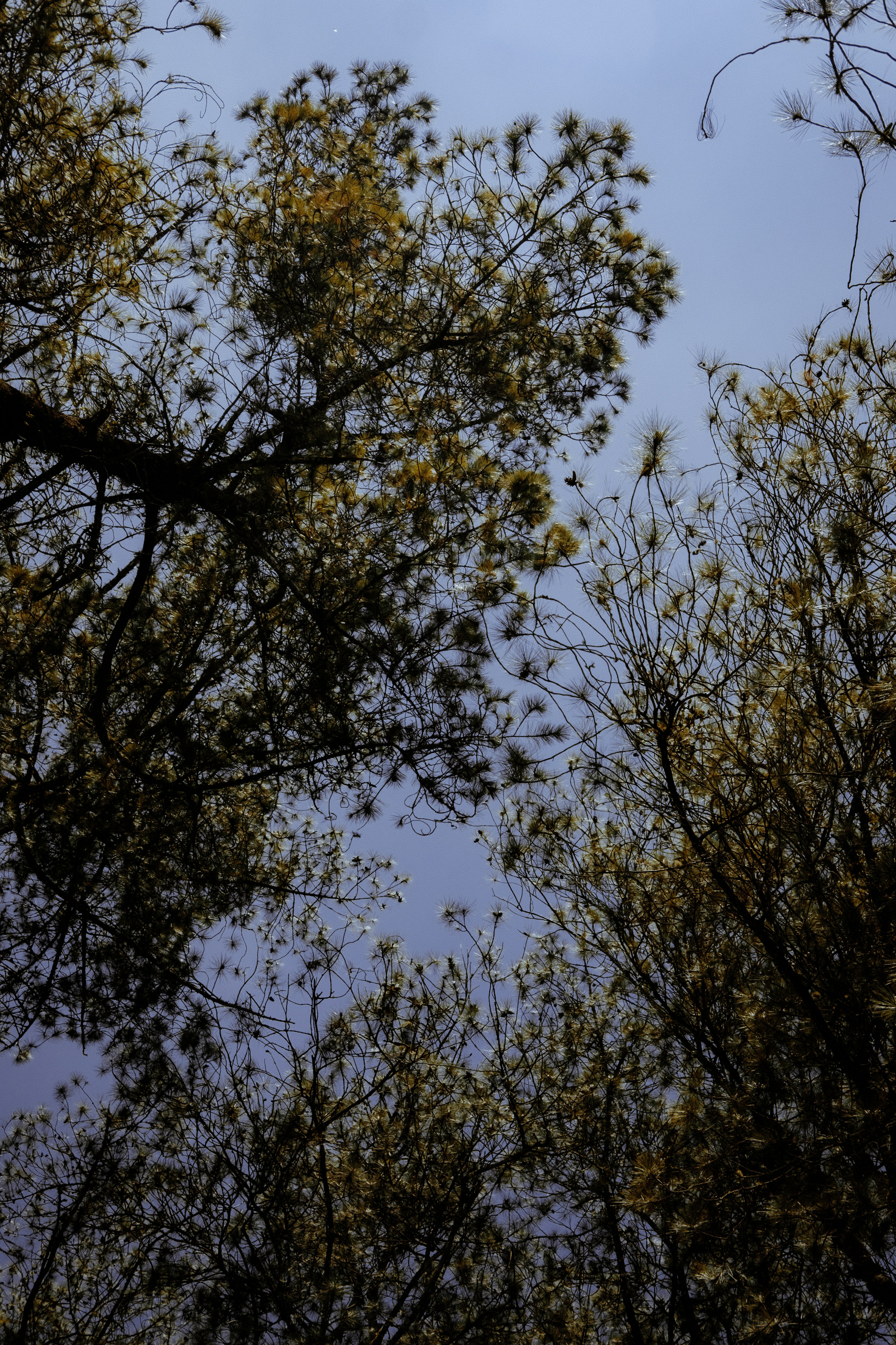 Photo by bhavibay