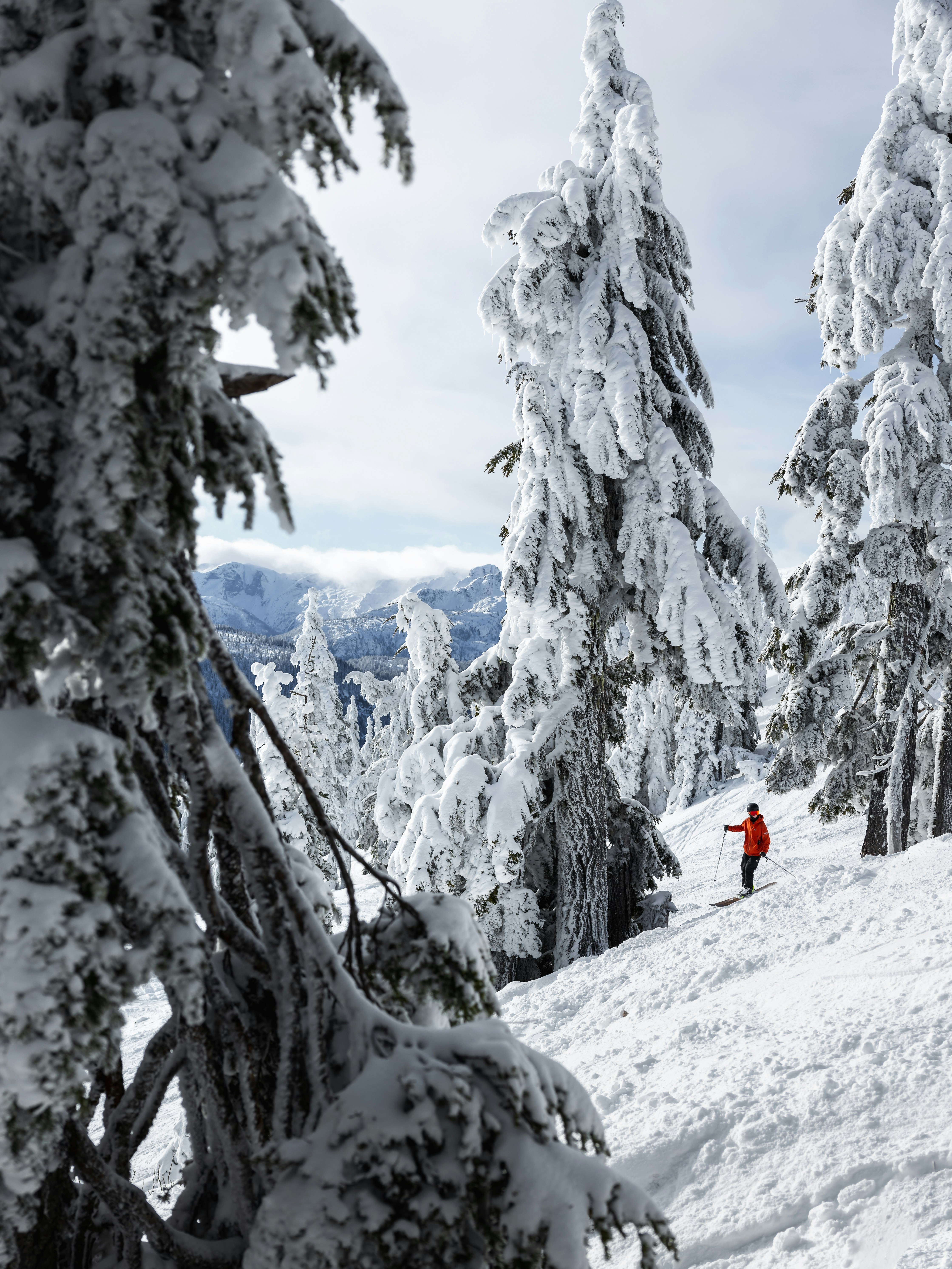 Photo by greg_rosenke