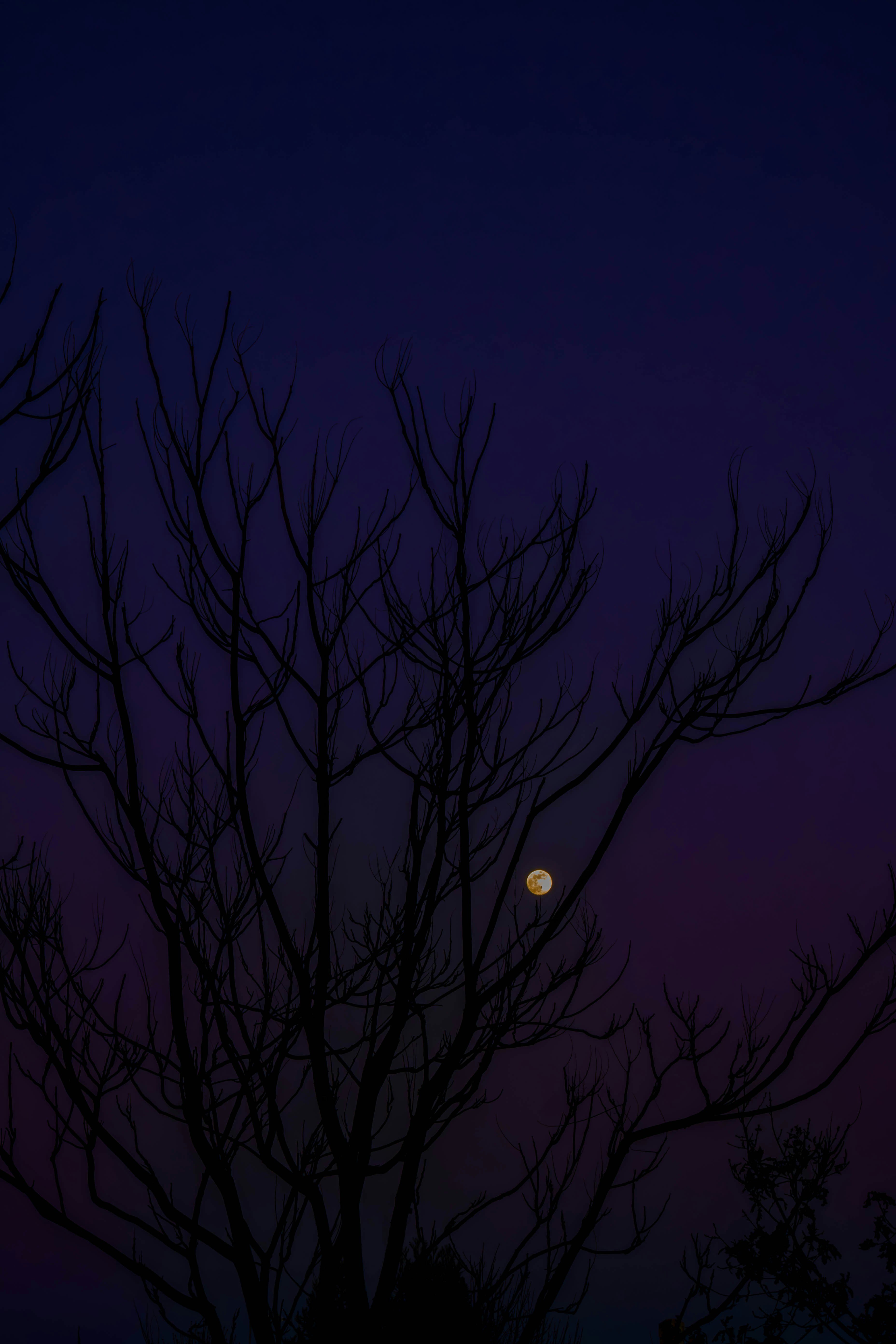 Photo by alexisphotographie_