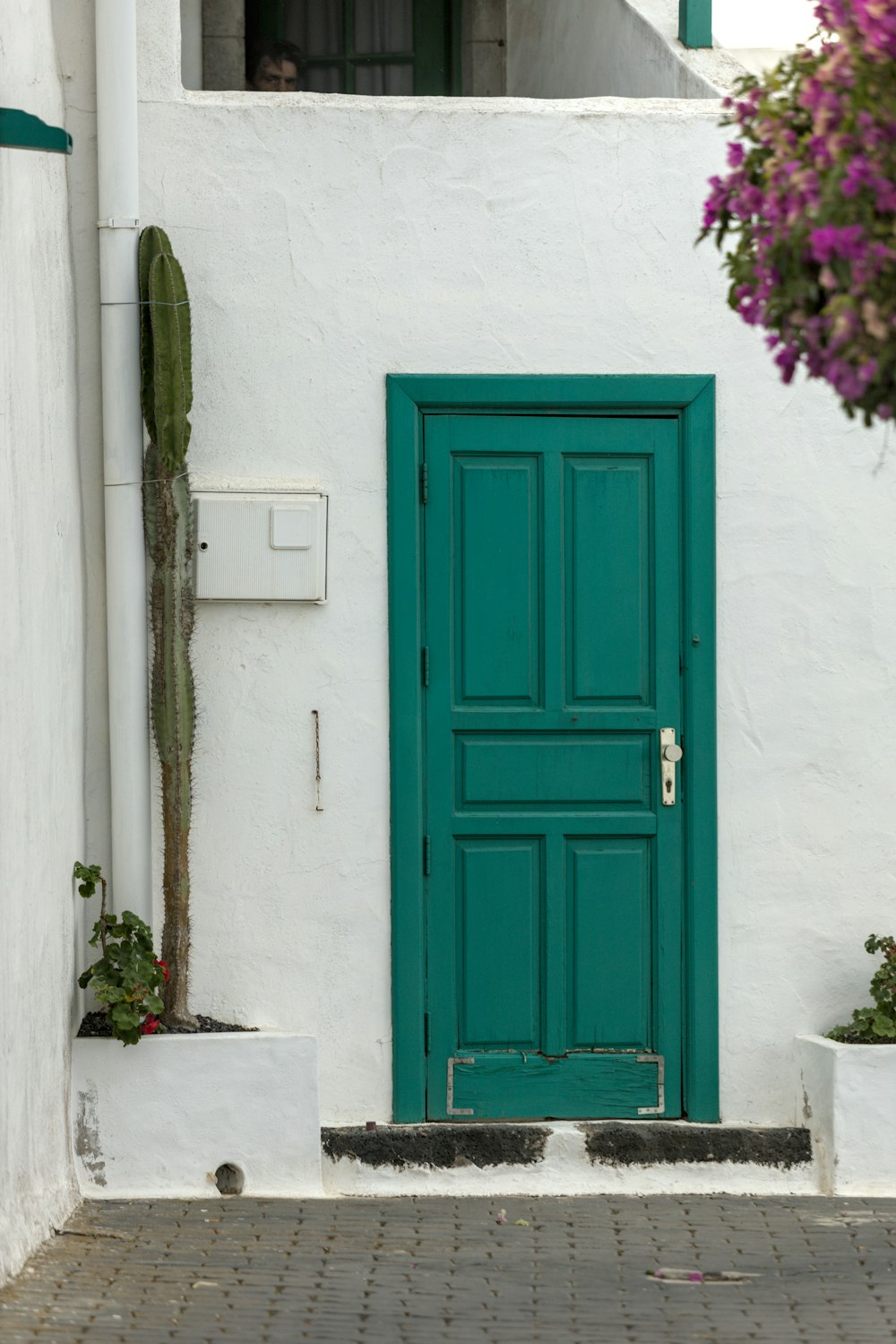a green door on a white building with potted plants