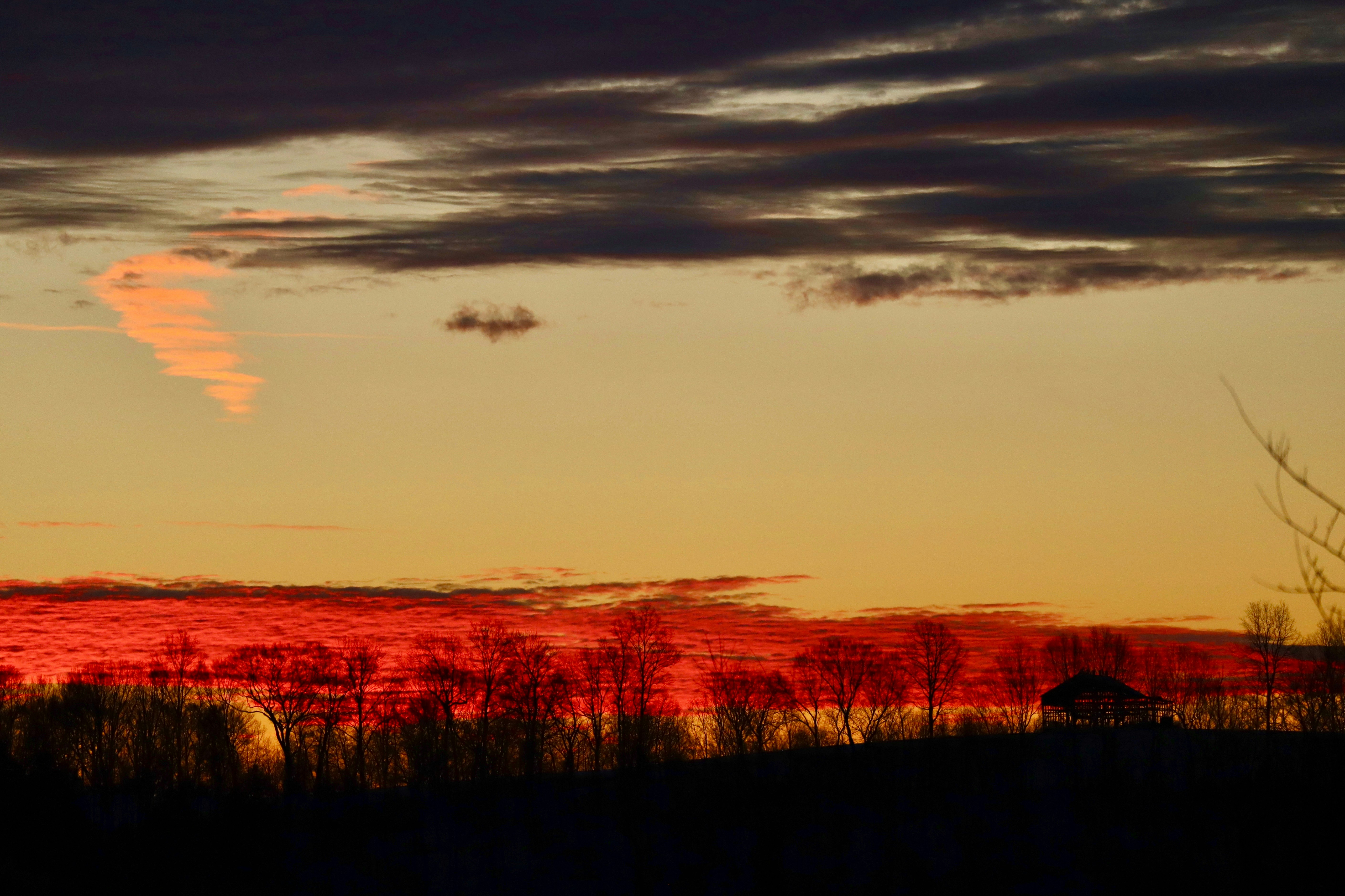 Photo by uberzeught