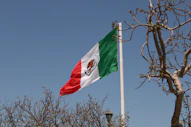 a flag flying in the wind next to a tree