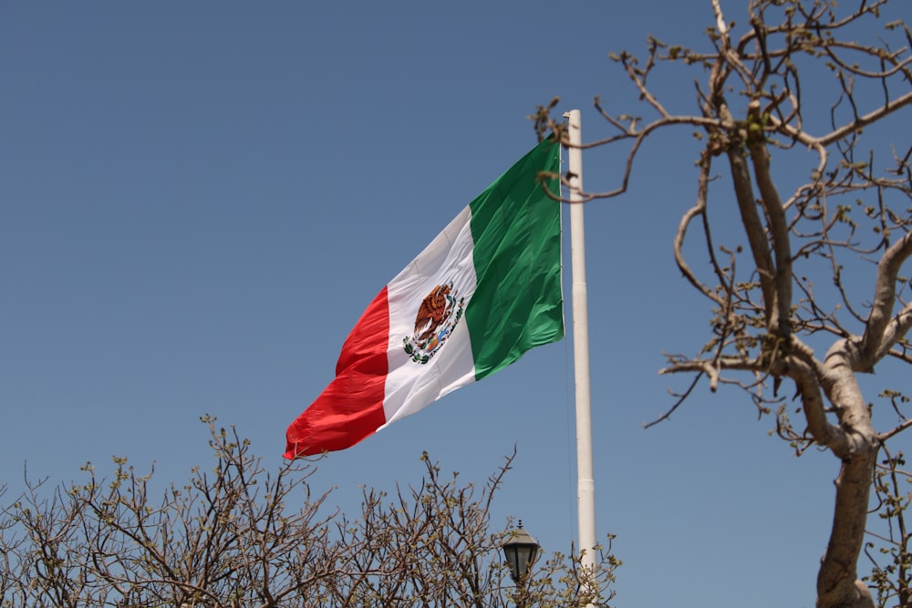 a flag flying in the wind next to a tree