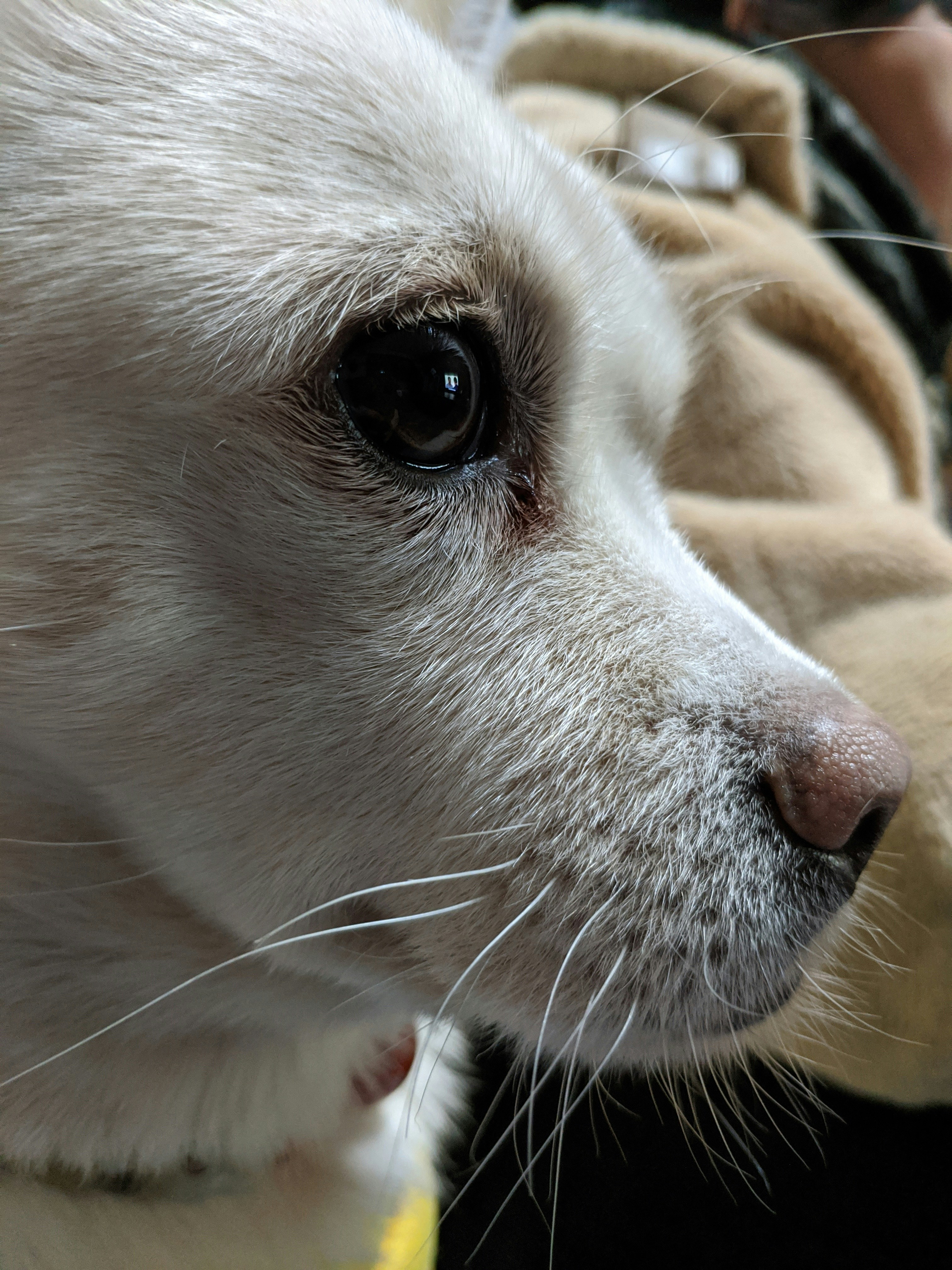 Best Friend Taste My Grul Pictures | Download Free Images on Unsplash