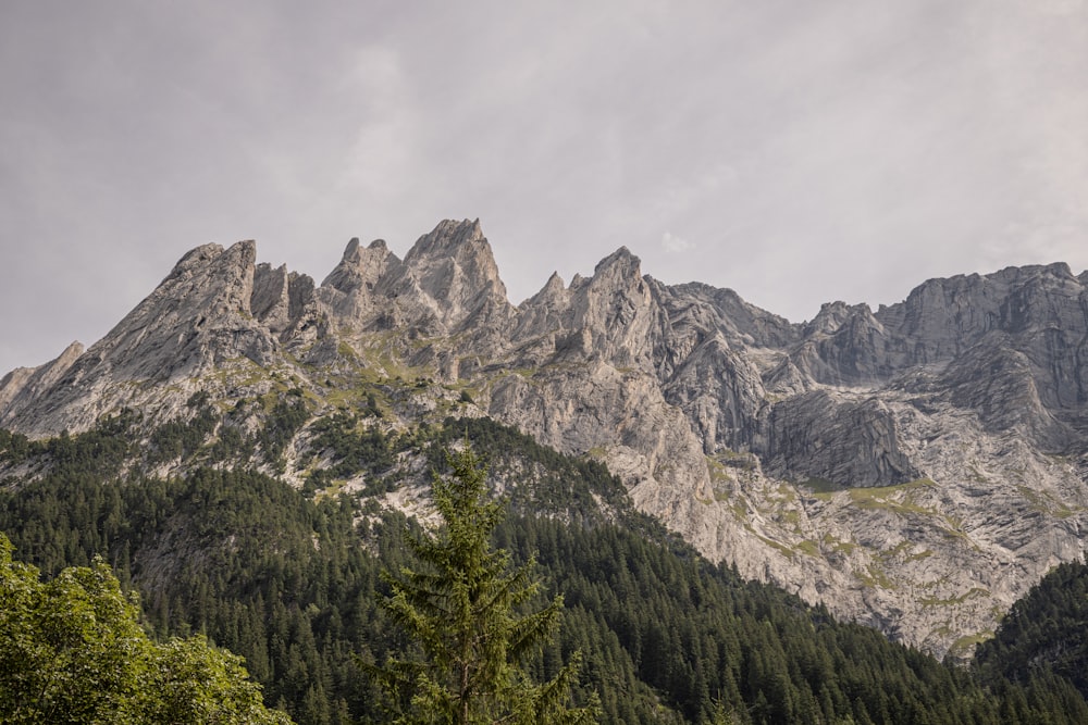 a view of a mountain range with trees in the foreground