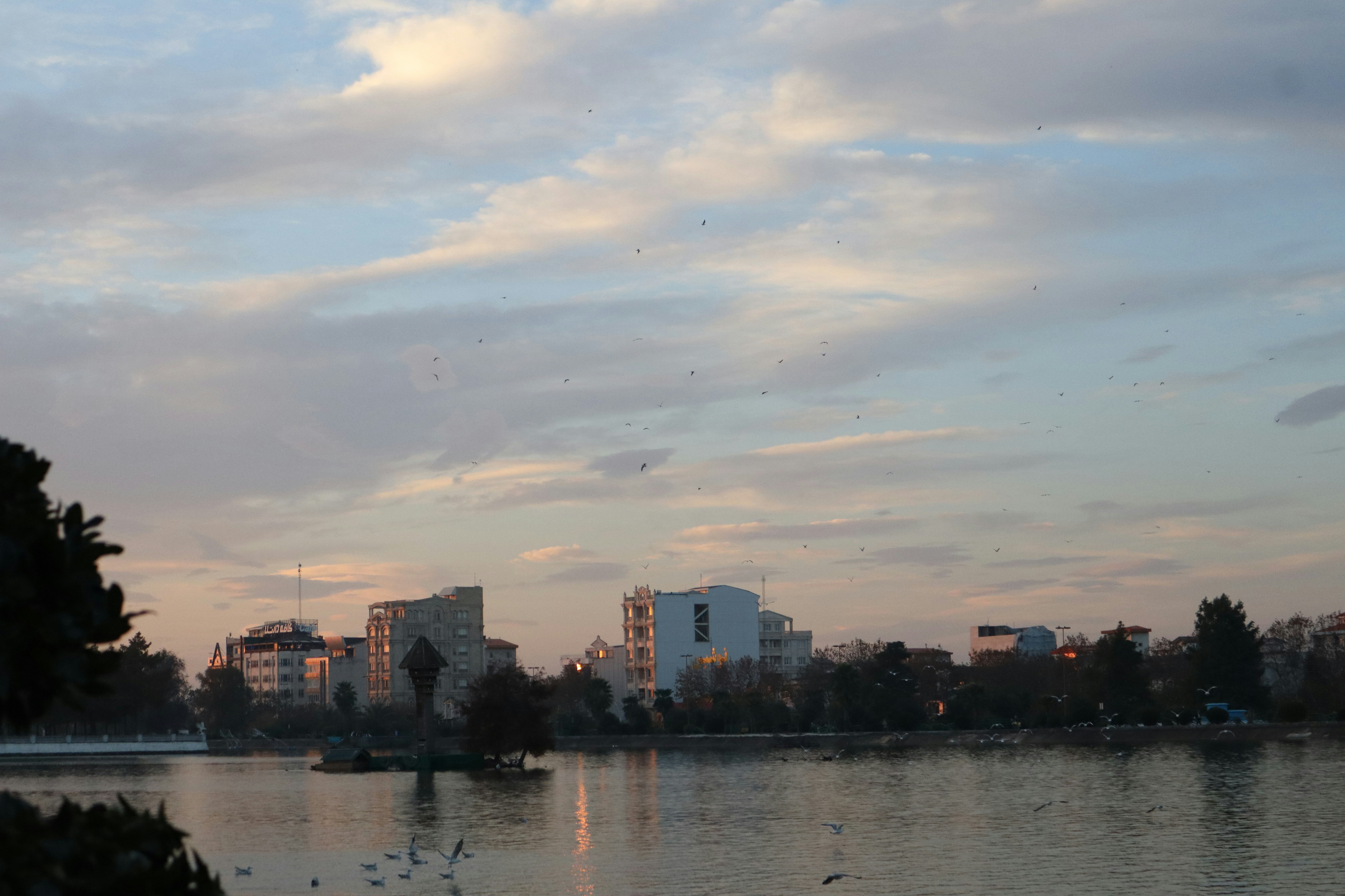 a body of water with buildings in the background