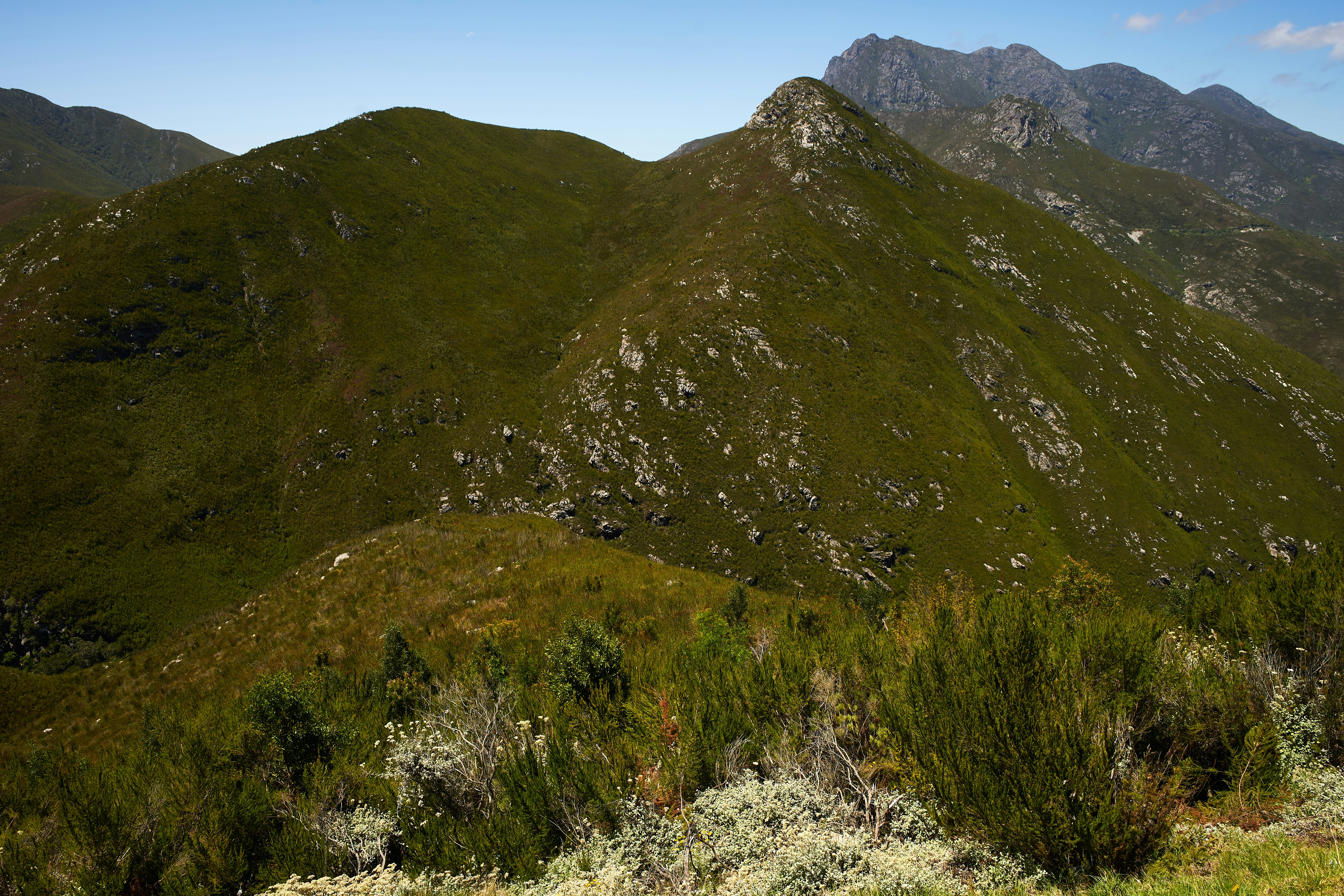 Photo by wolfgang_hasselmann