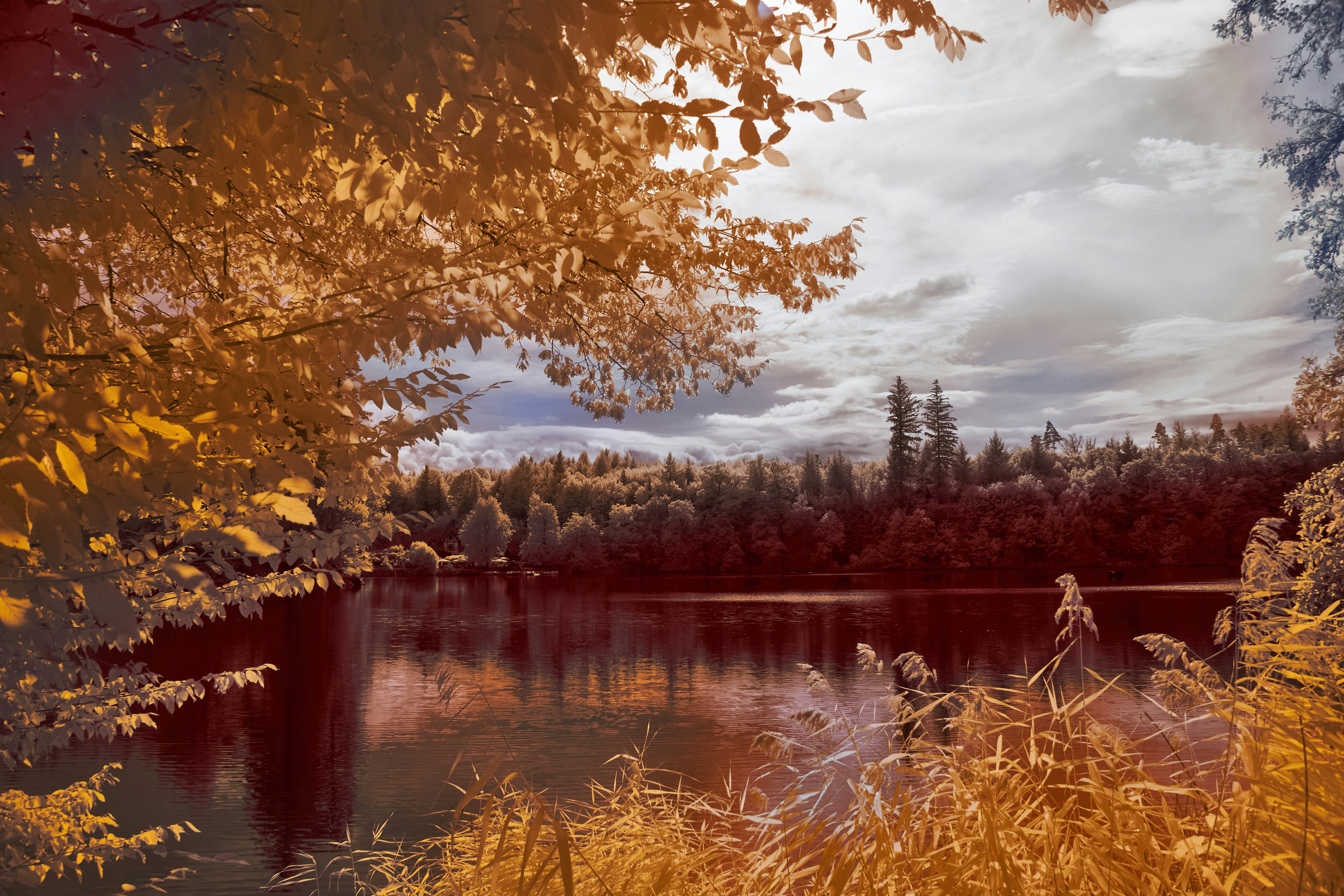 Photo by wolfgang_hasselmann