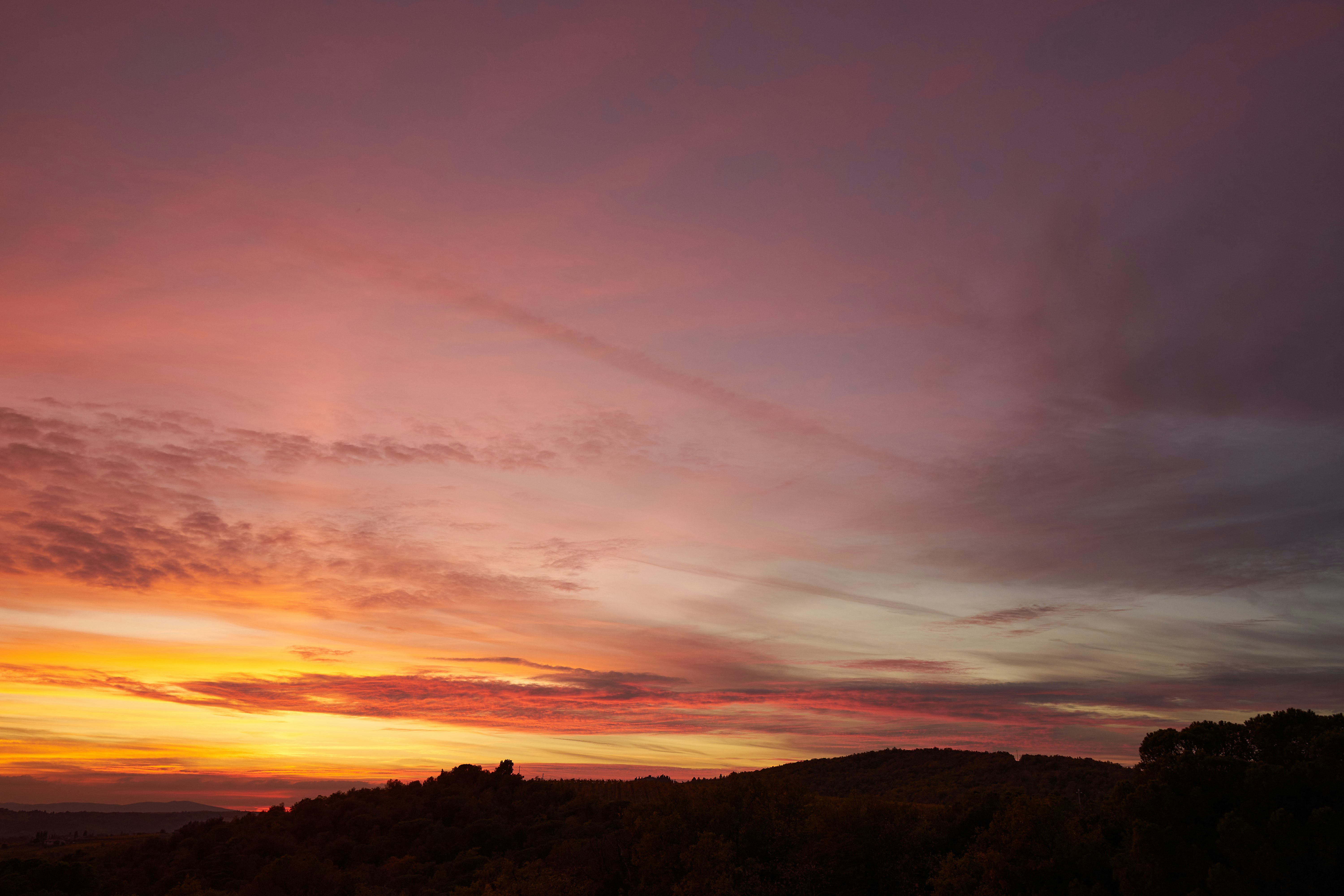 Photo by wolfgang_hasselmann