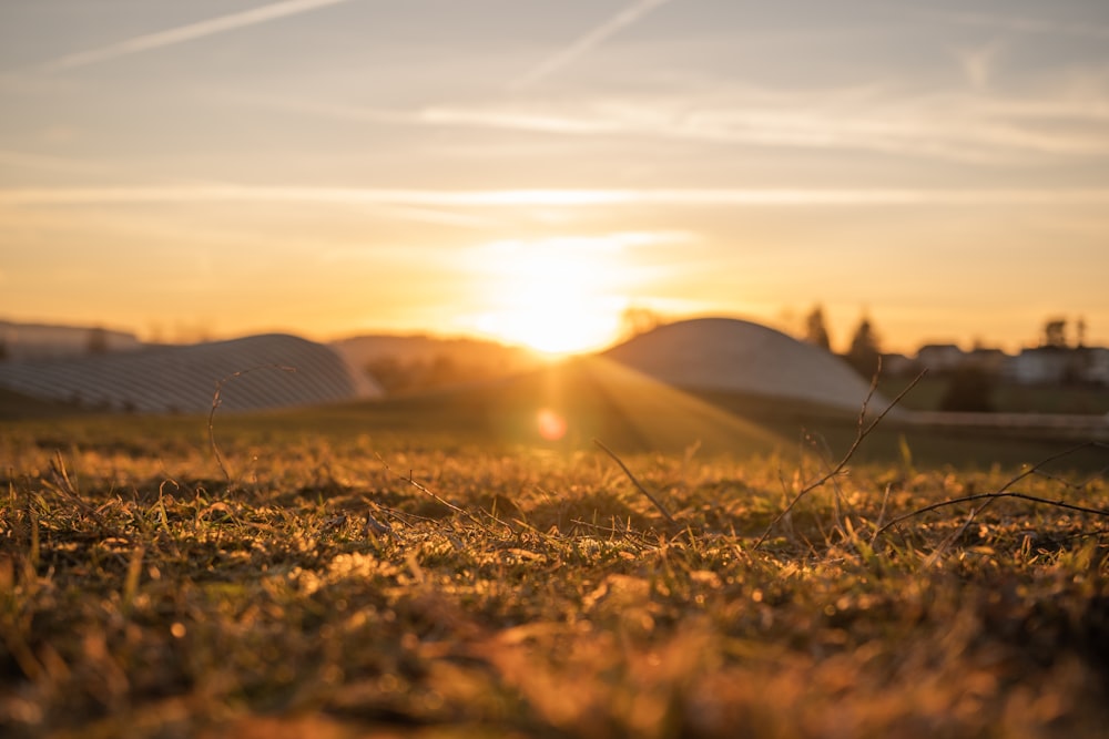 el sol se está poniendo sobre un campo cubierto de hierba